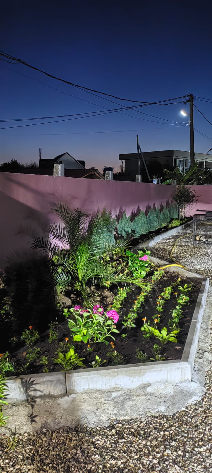 Фото Розовая лагуна