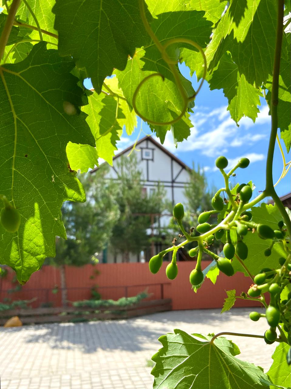 Фото Адмиральские домики