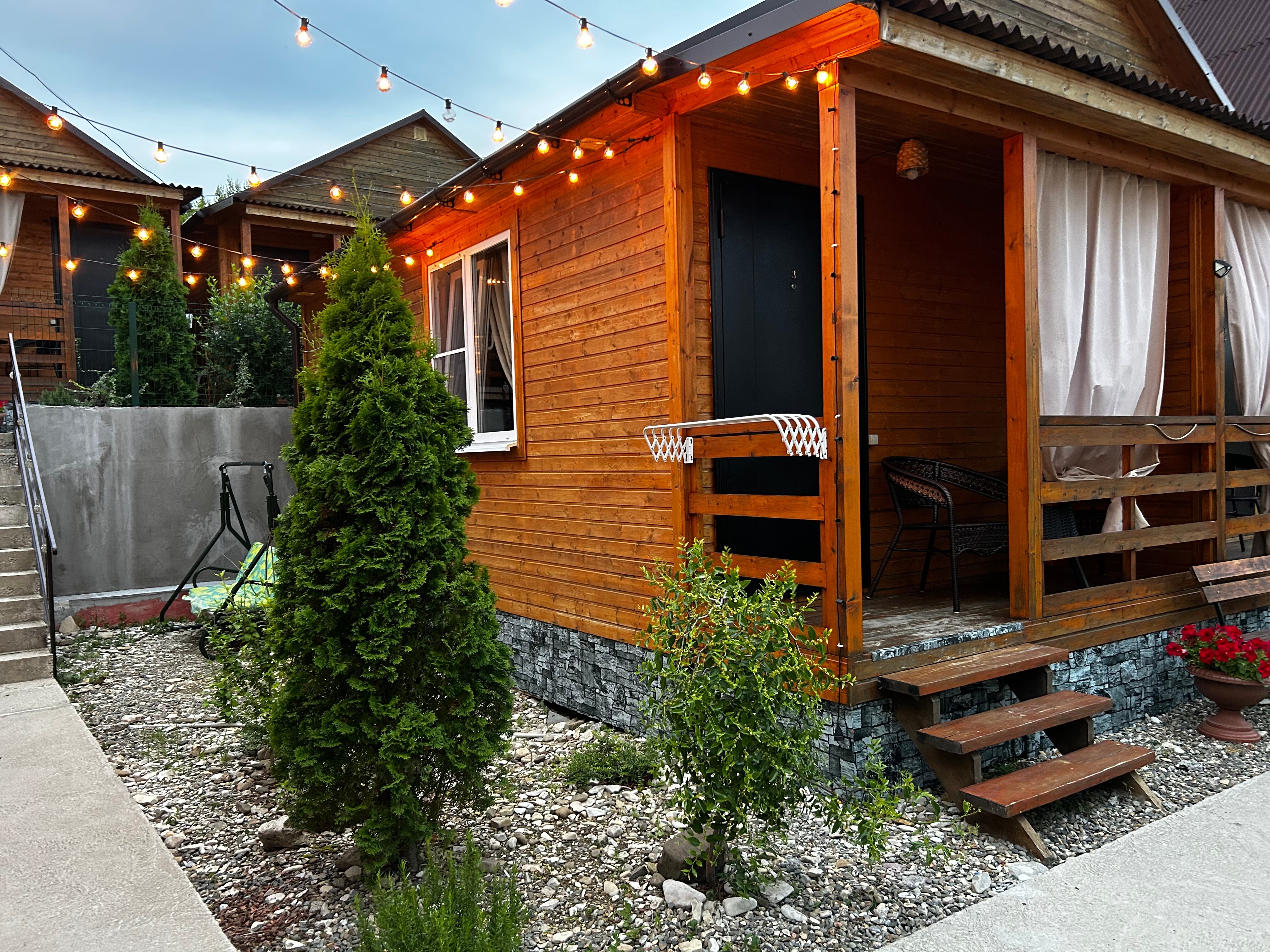 Фото Дельфин