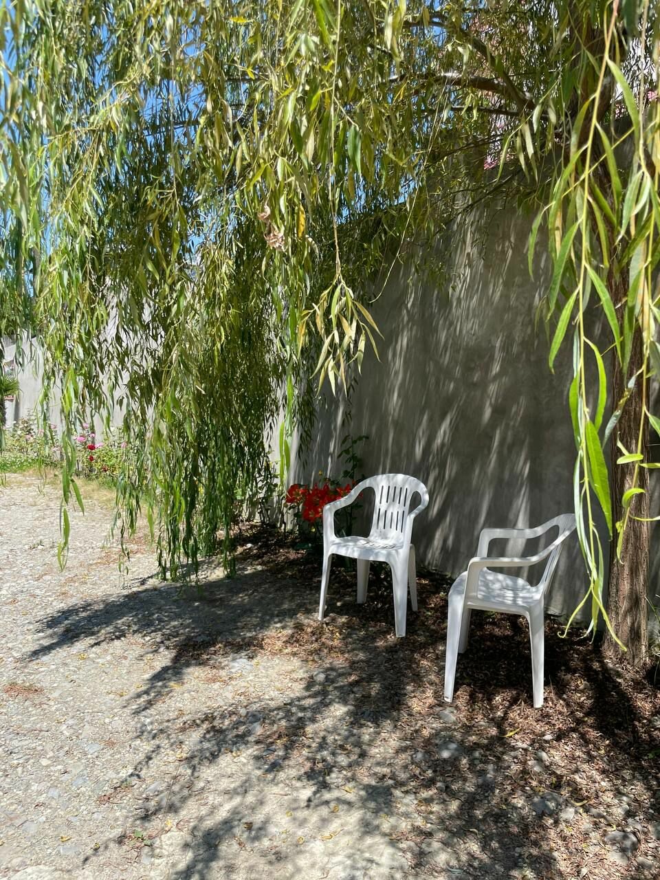 Фото Егория