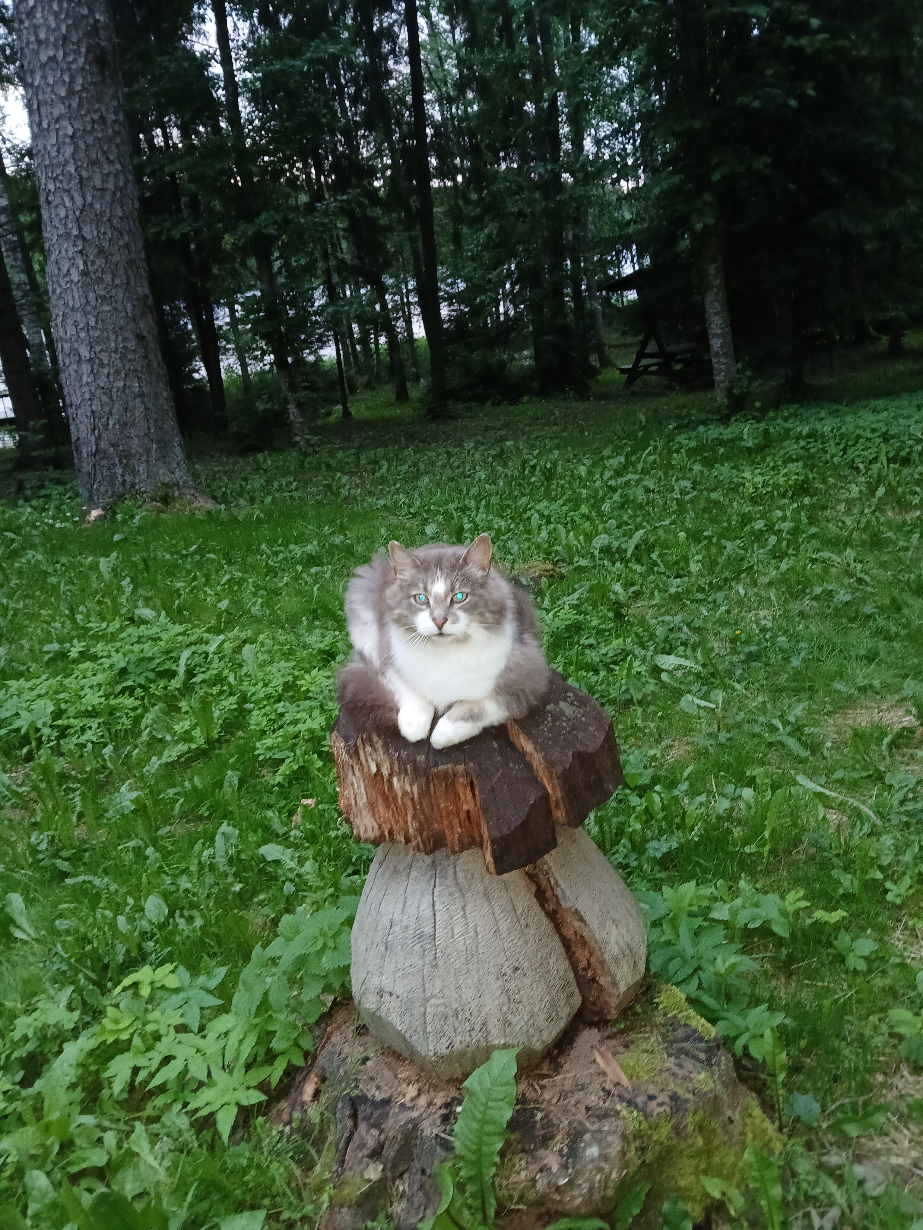 Фото Охотник и рыболов