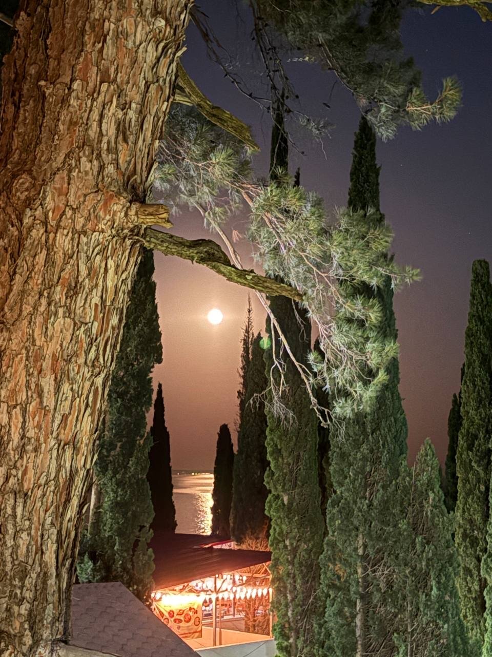 Фото Пансионат Солнечный летний