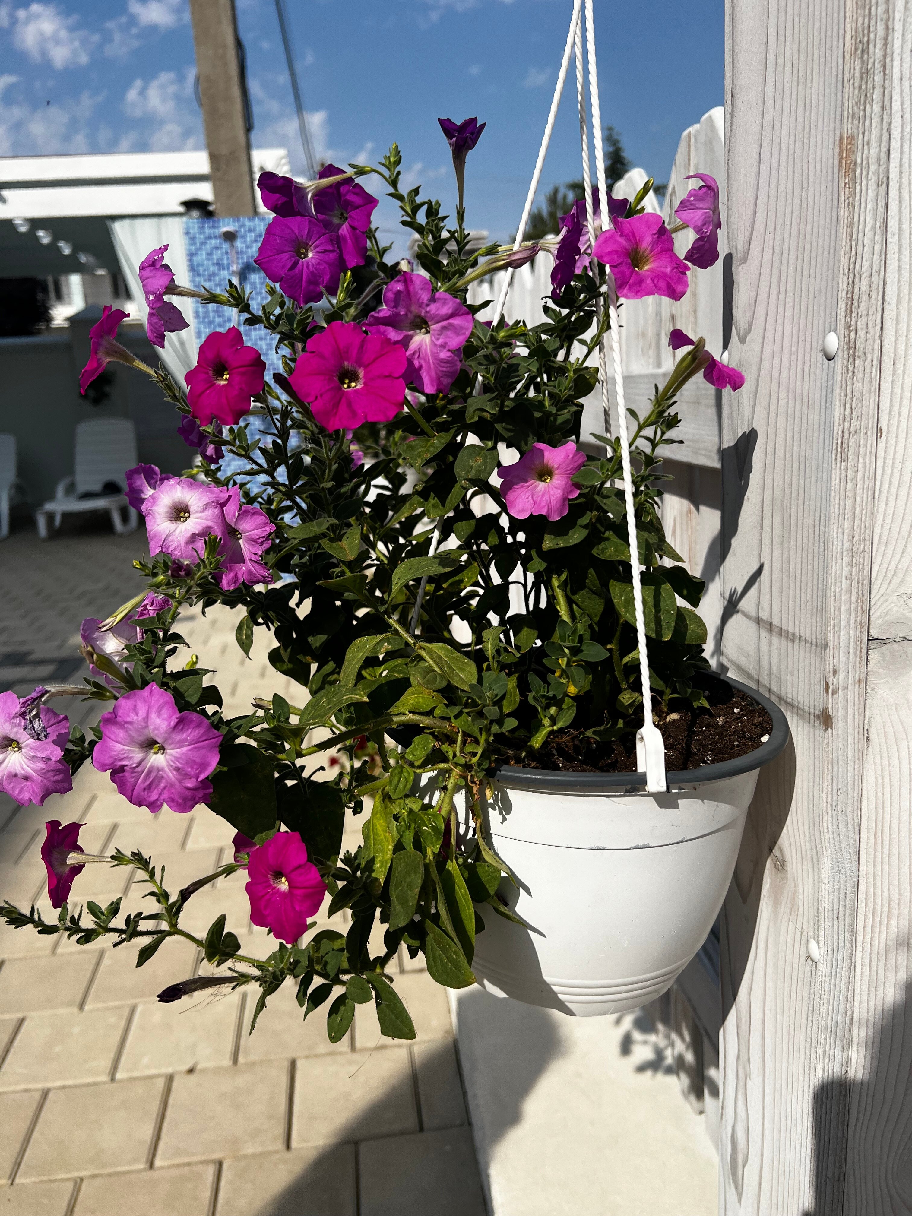 Фото Кассандра Палас