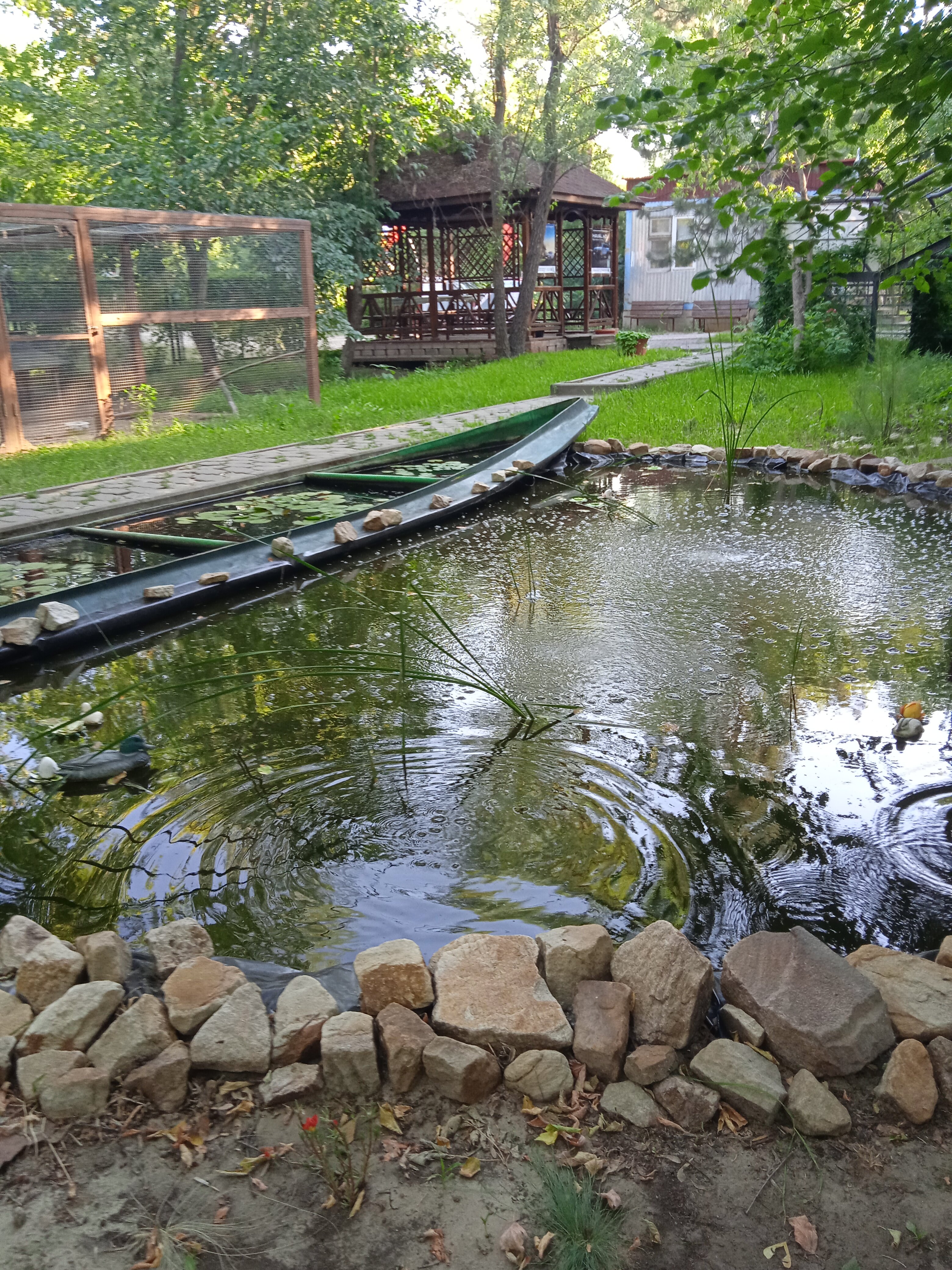 Фото База отдыха Дон