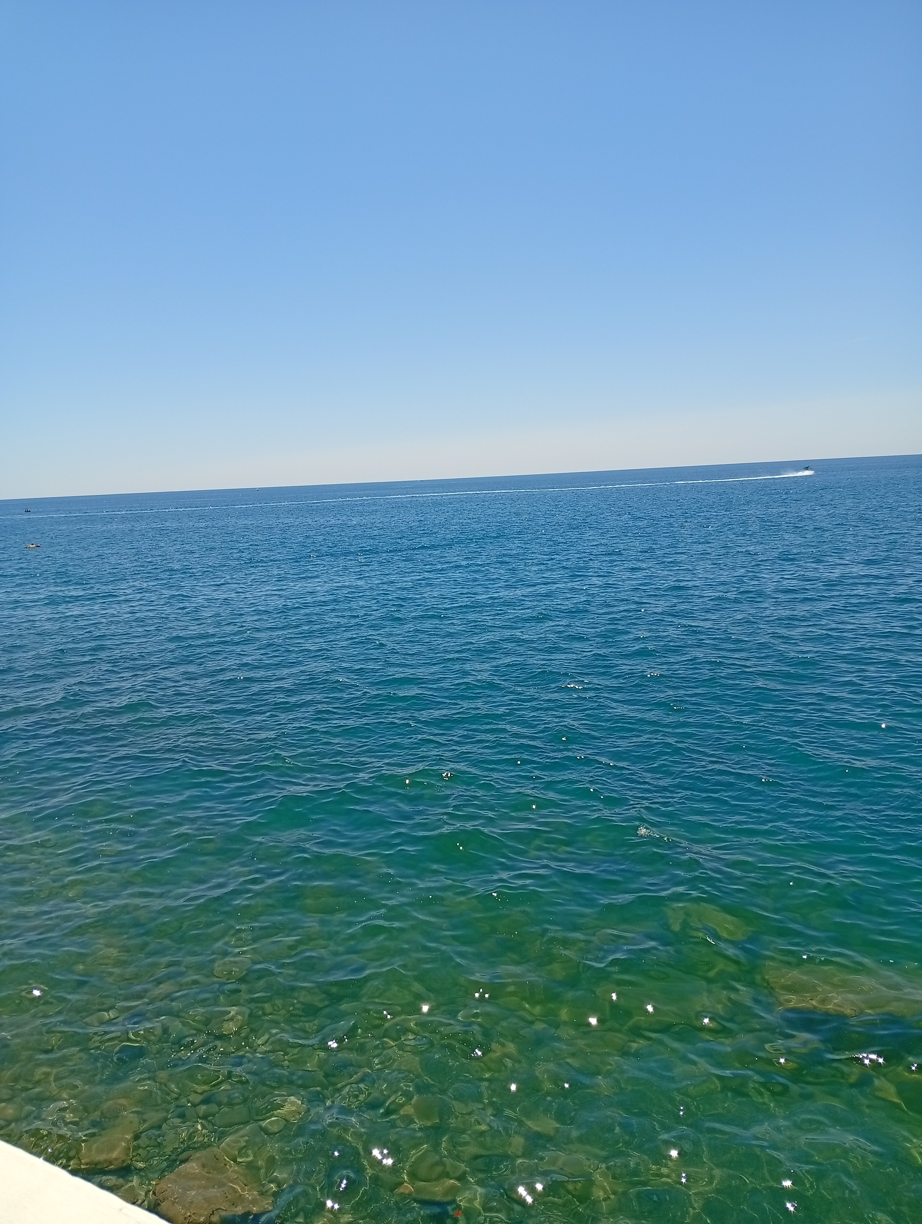 Фото ШарЛООтка