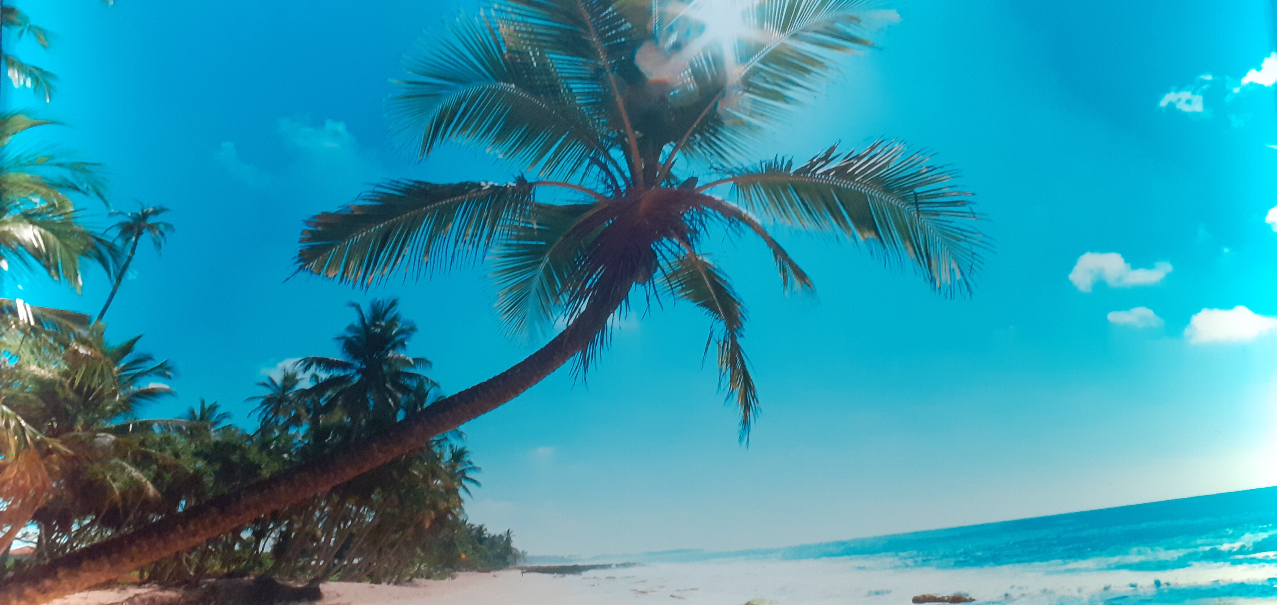 Фото Термы Пионер