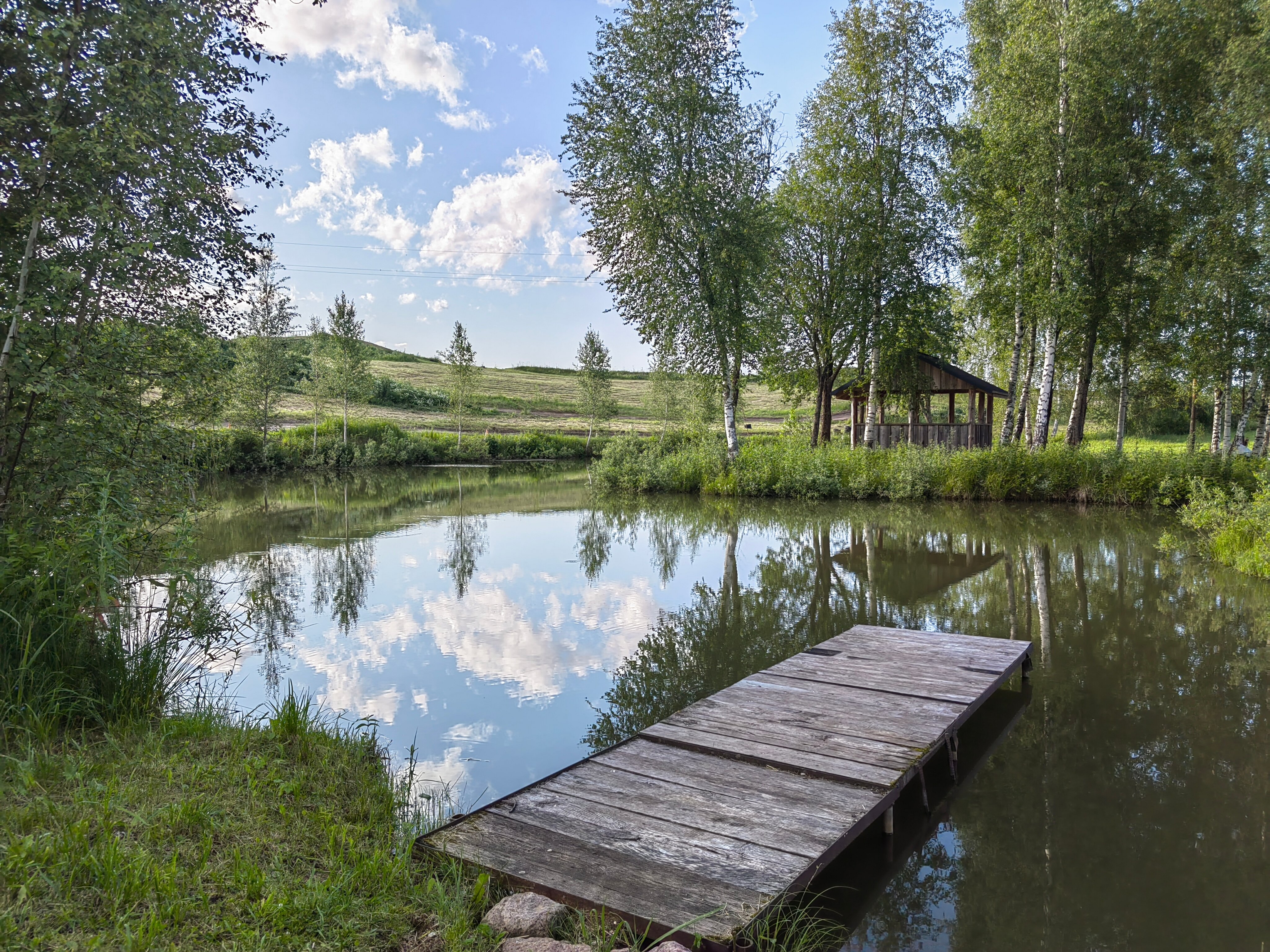 Фото Березовый хутор