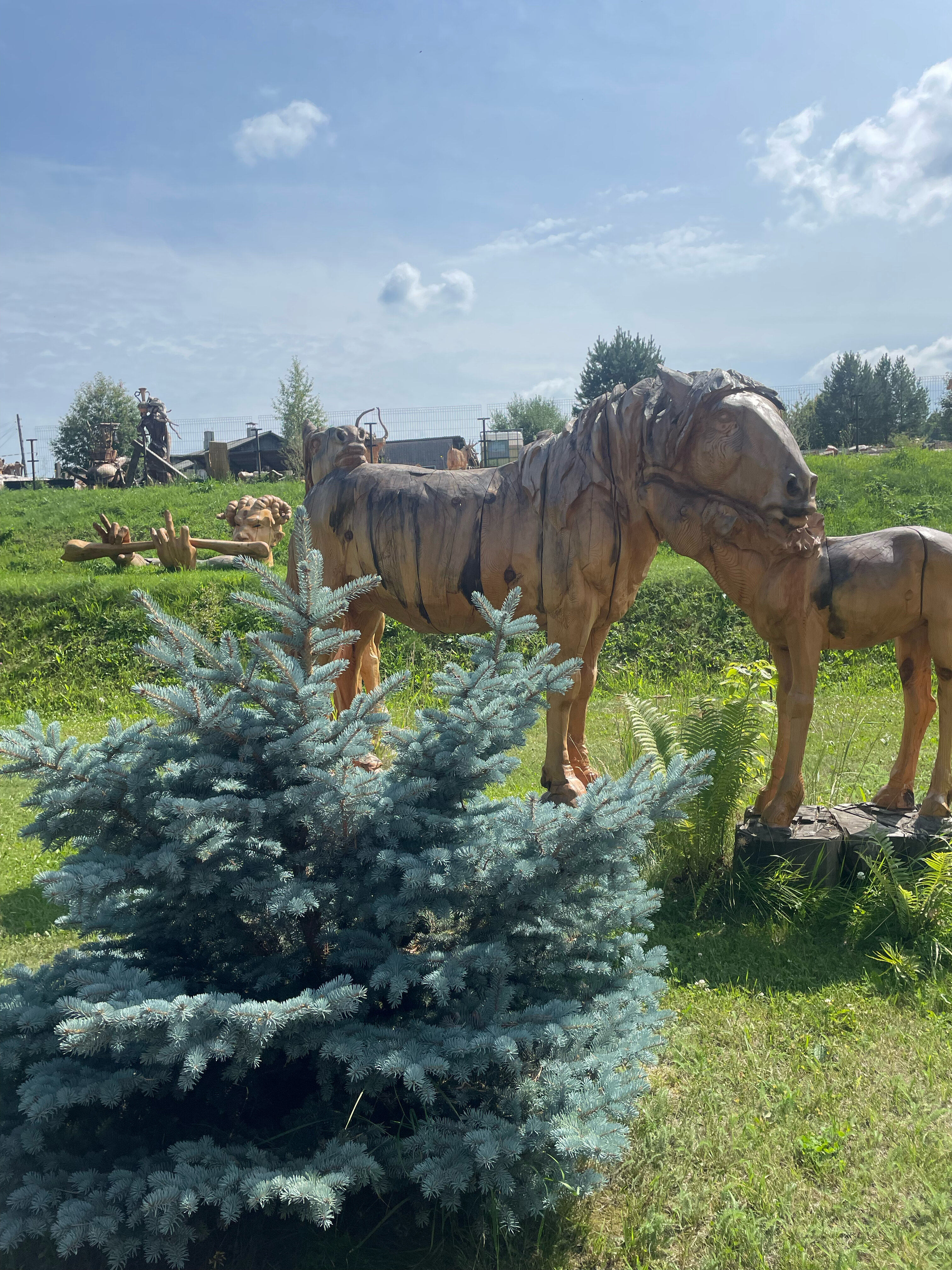 Фото Лукоморье