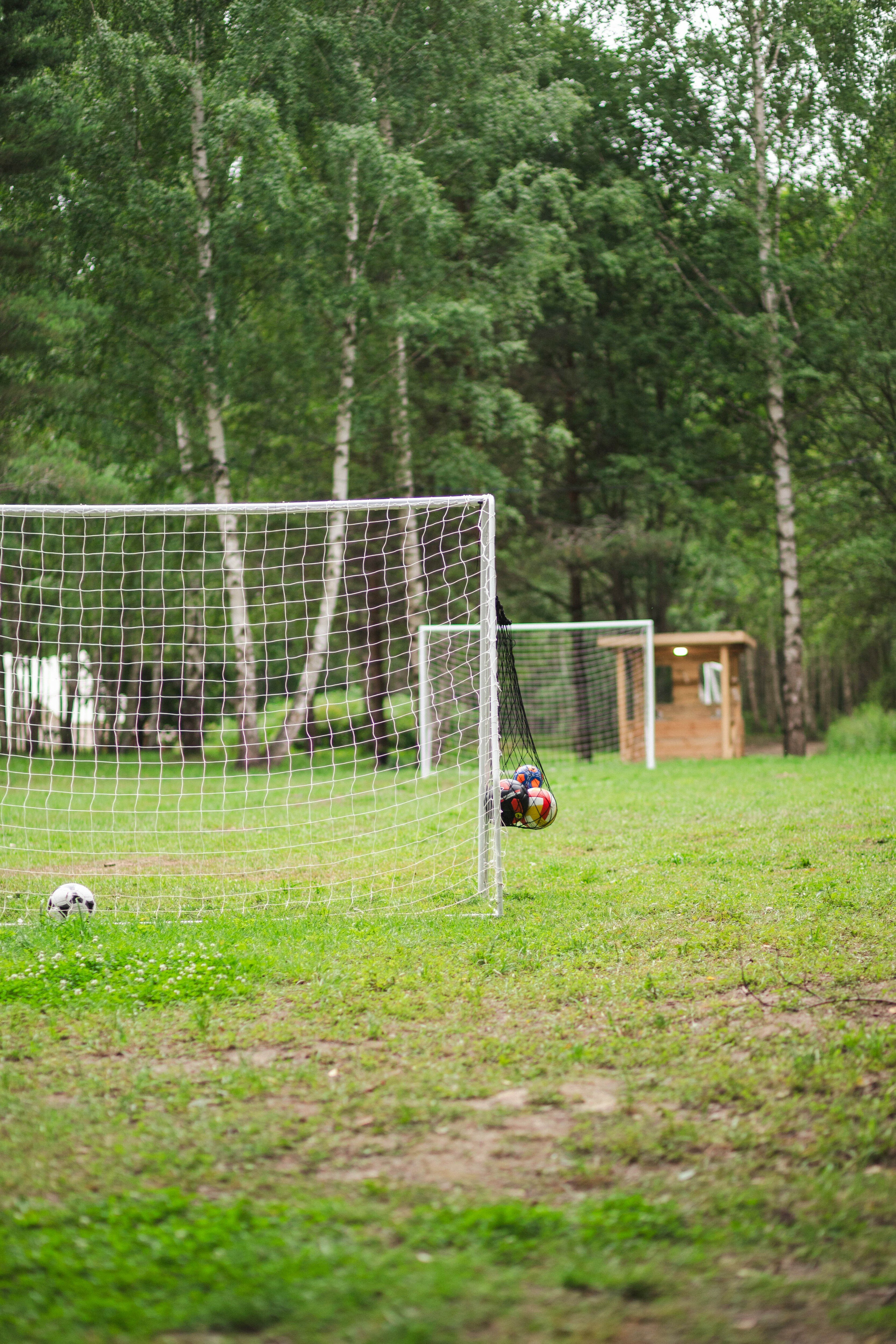 Фото Берег Грифона
