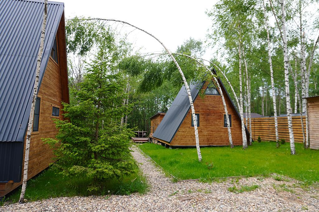 Фото My little forest