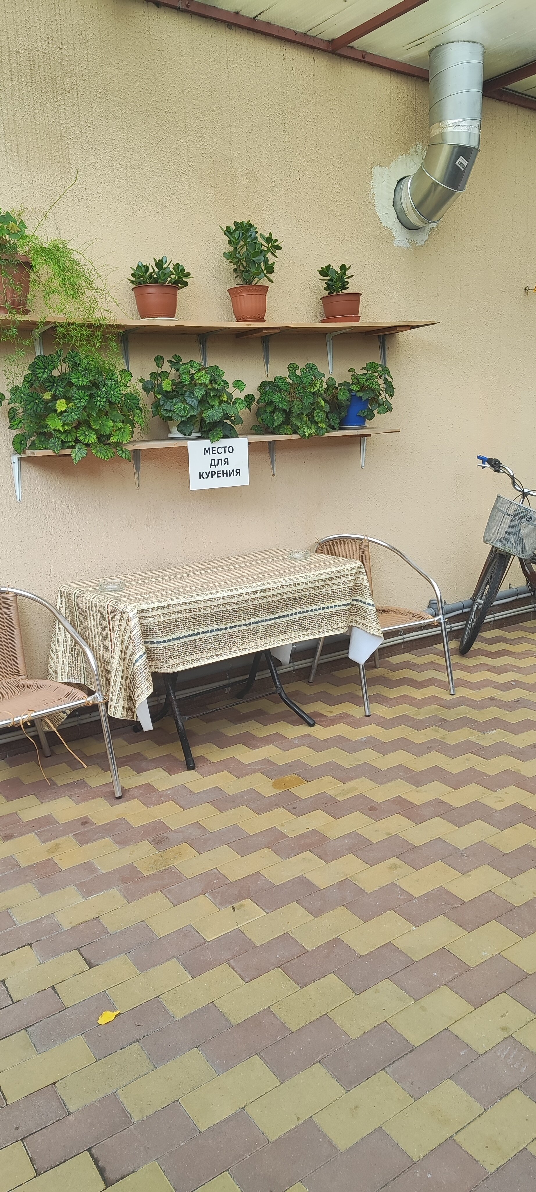 Фото Солнечные Дали