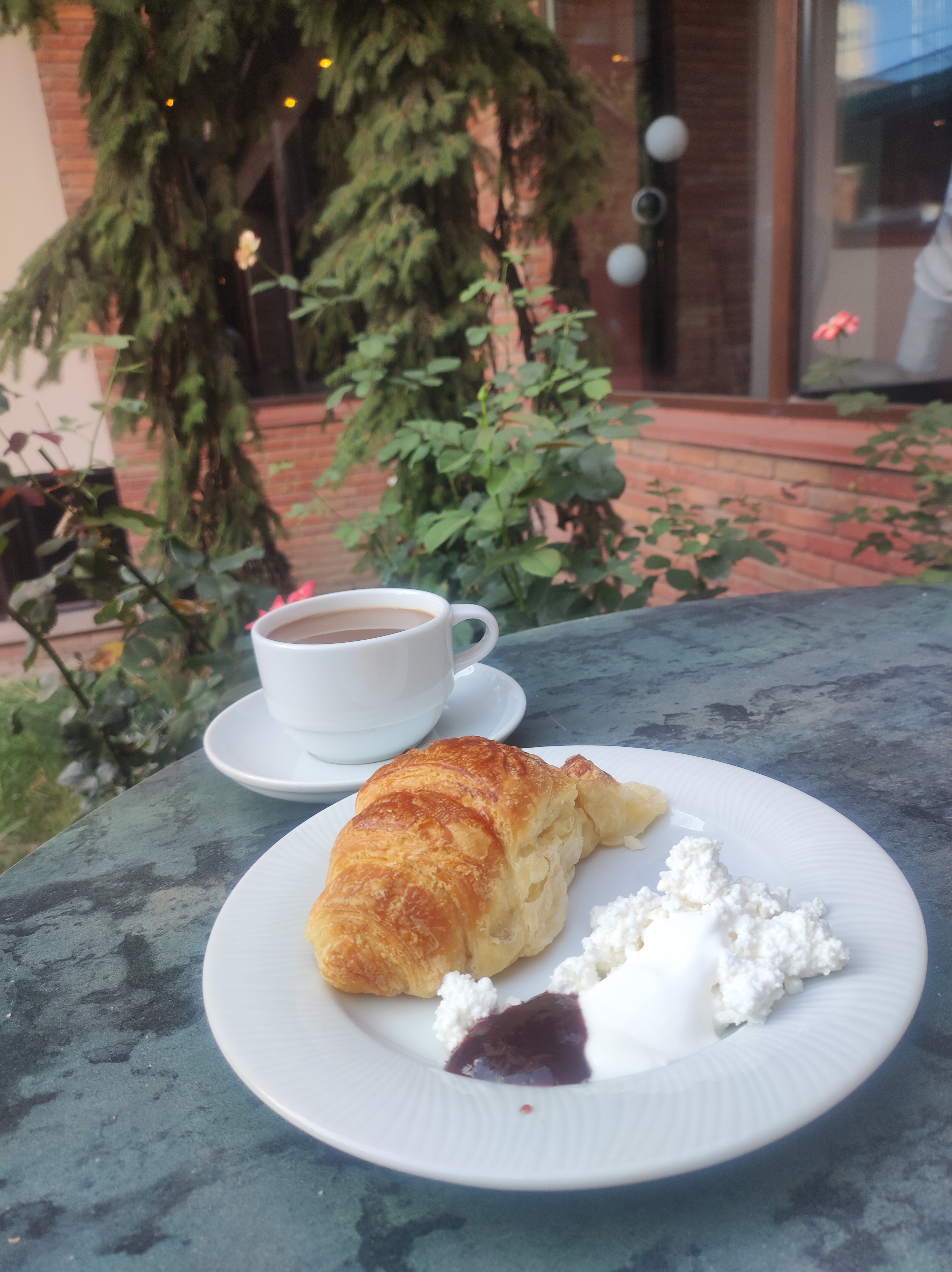 Фото Reikartz King Tamar