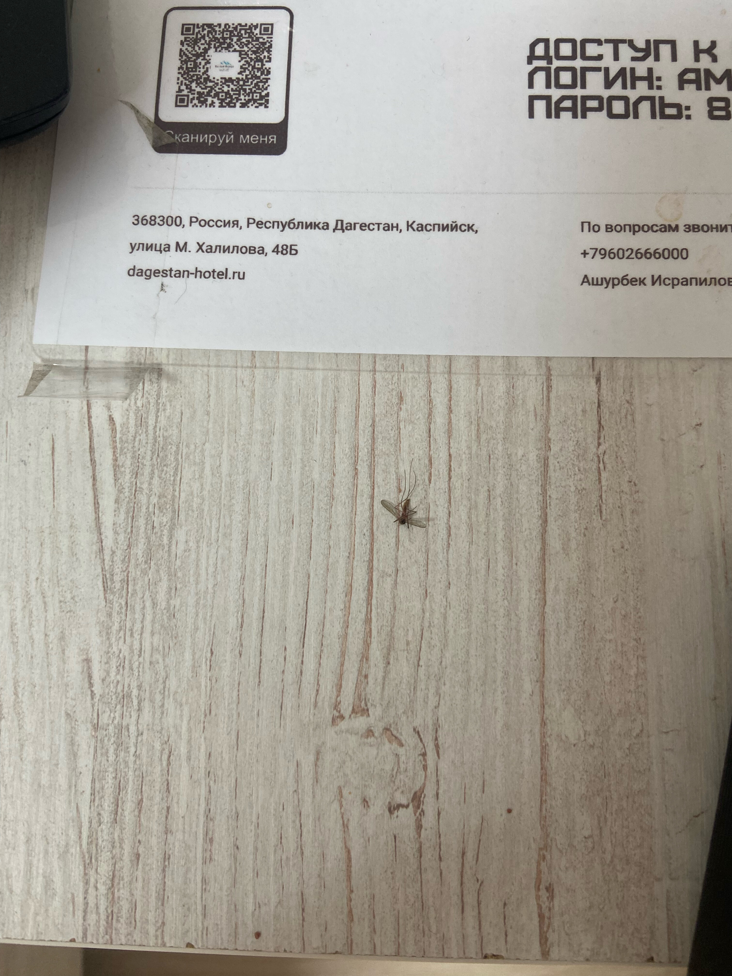 Фото Каспий Резорт