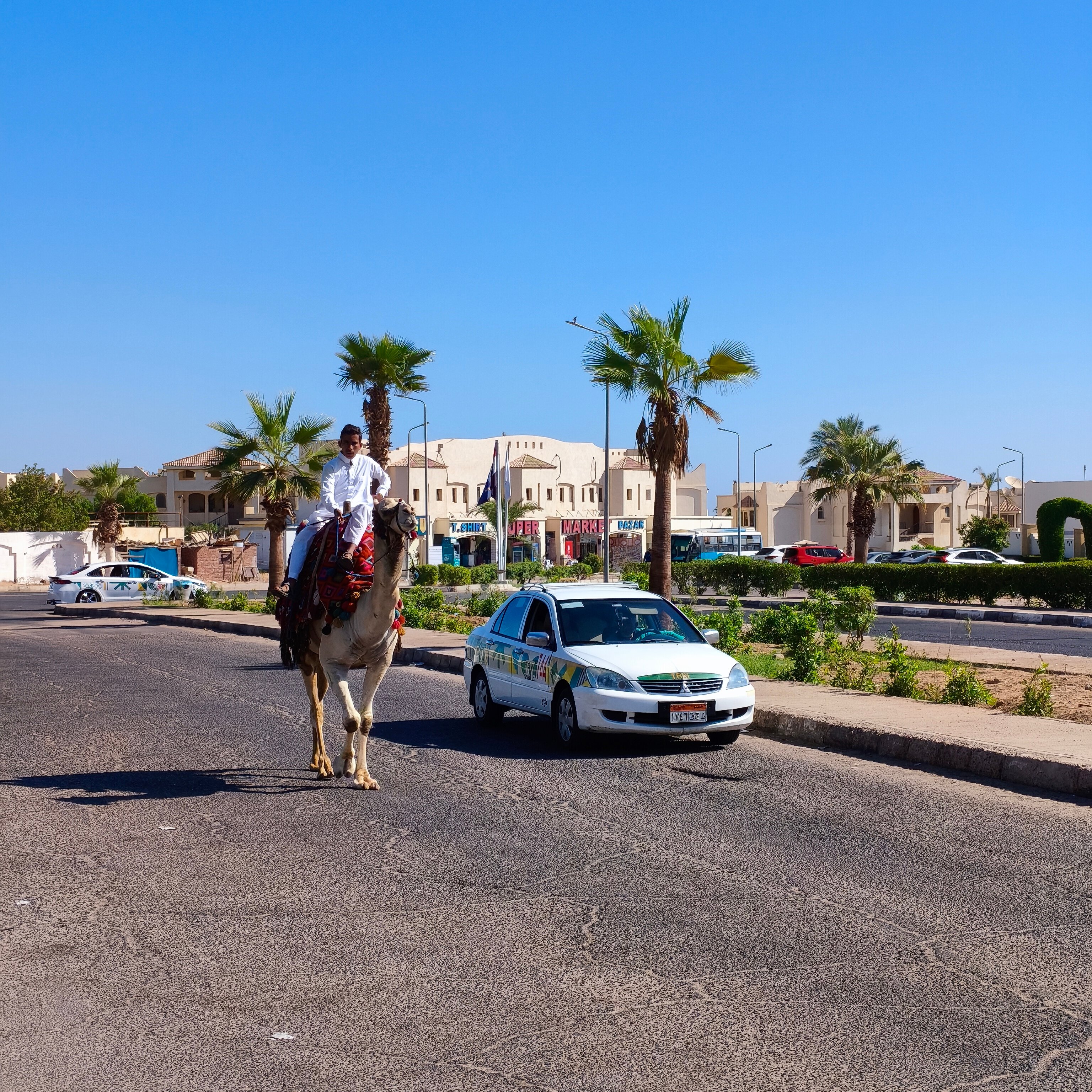 Фото Sharming Inn Hotel