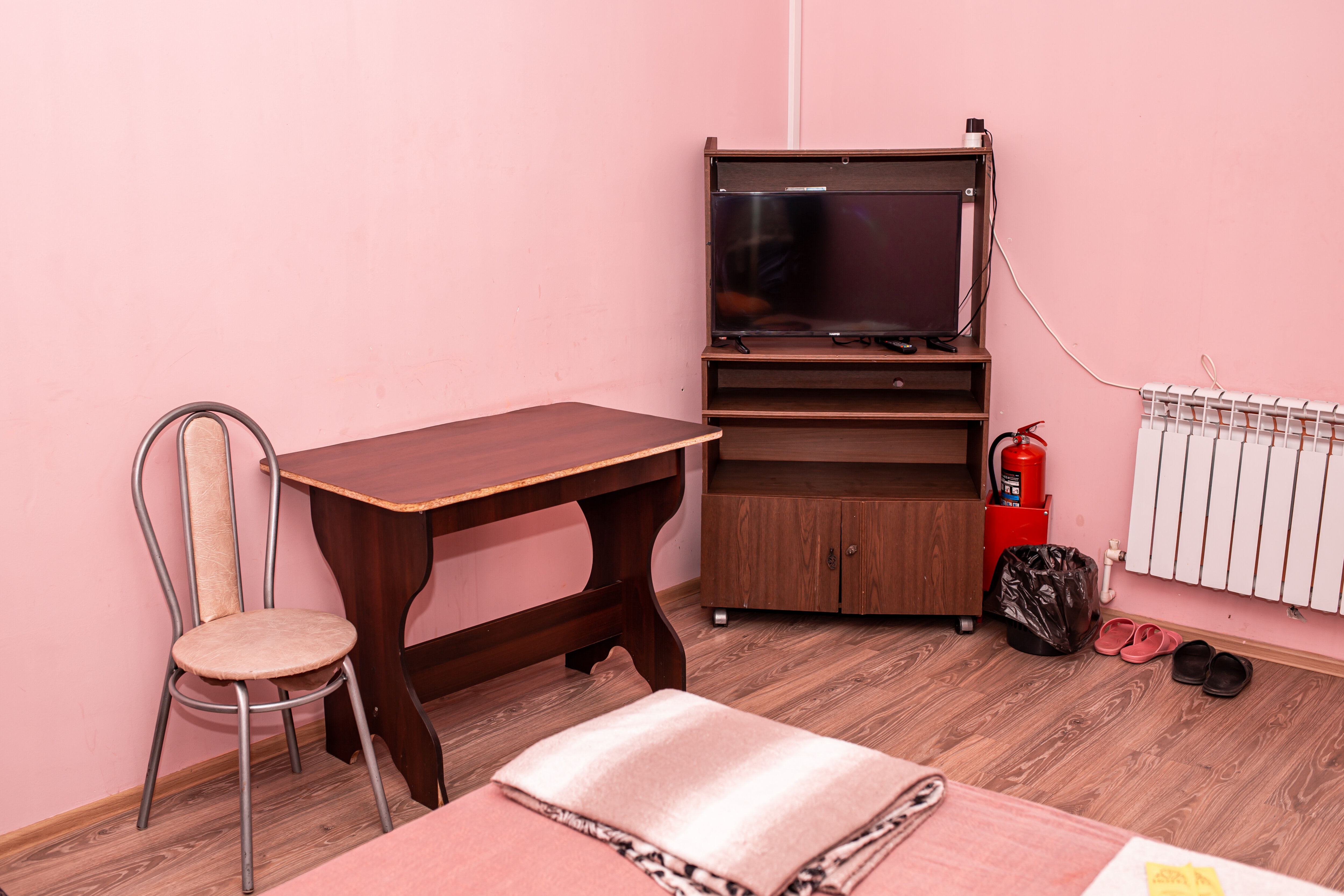 Фото Барашки