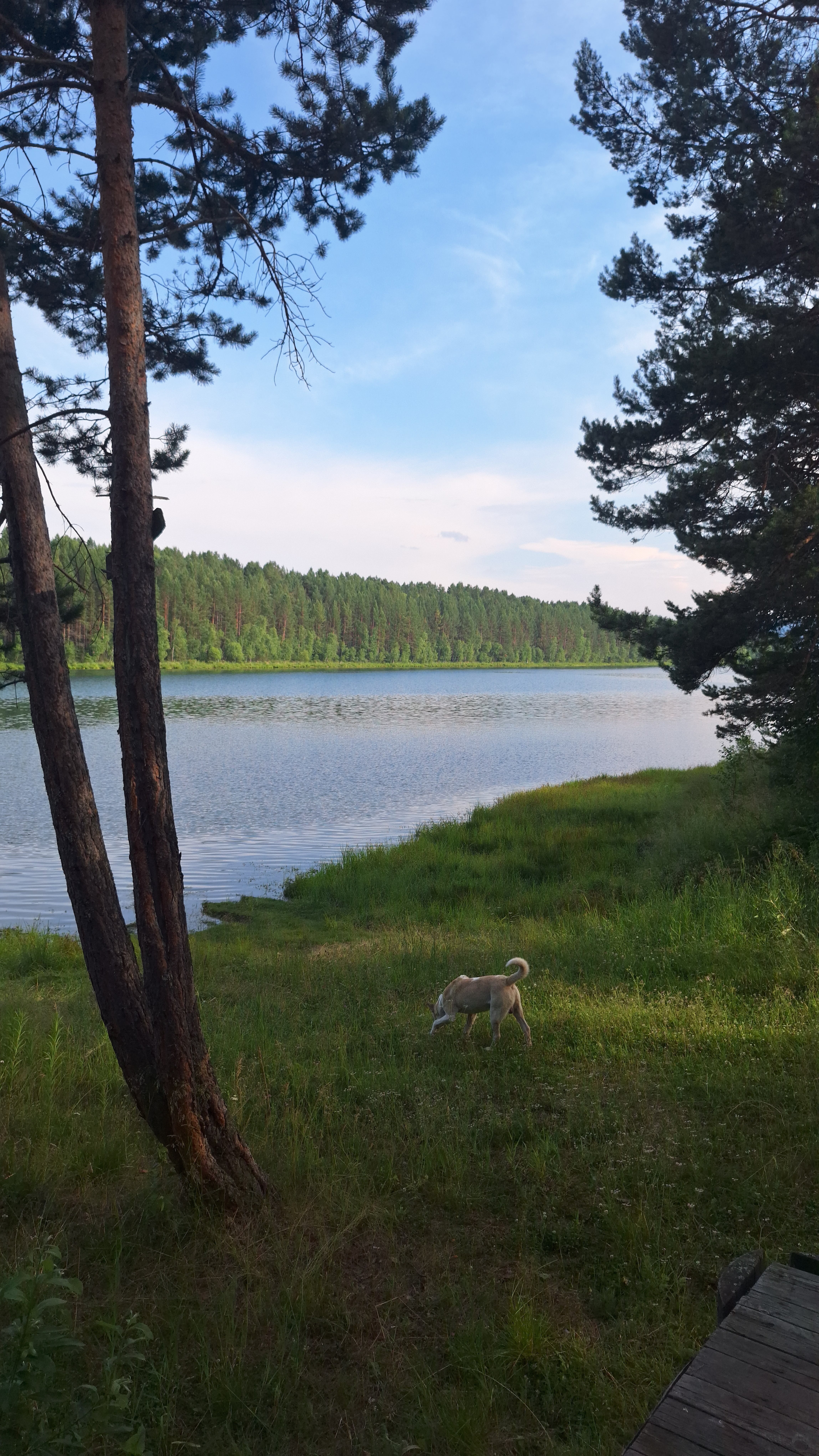 Фото Сибирская Заимка