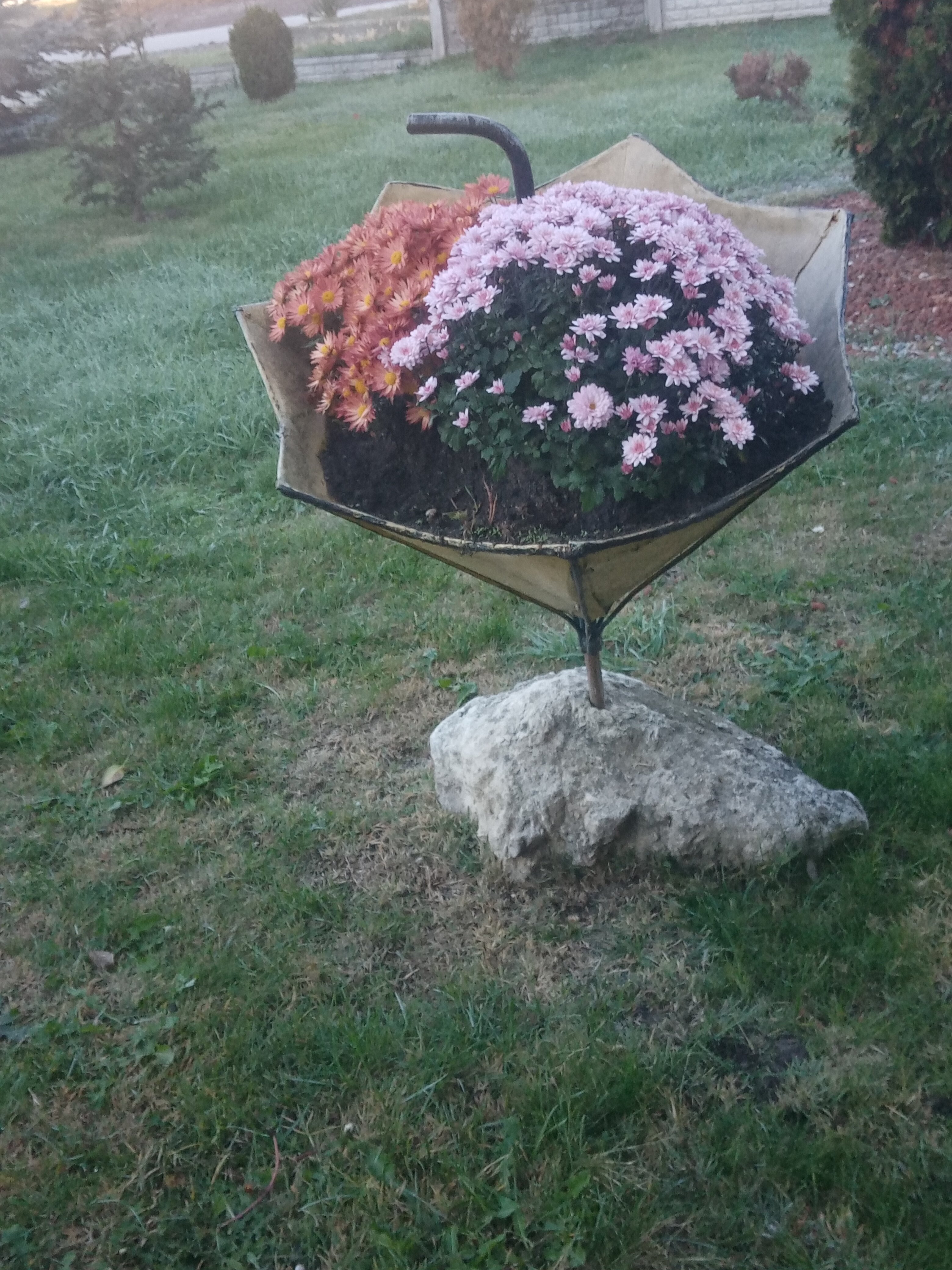 Фото Марсель