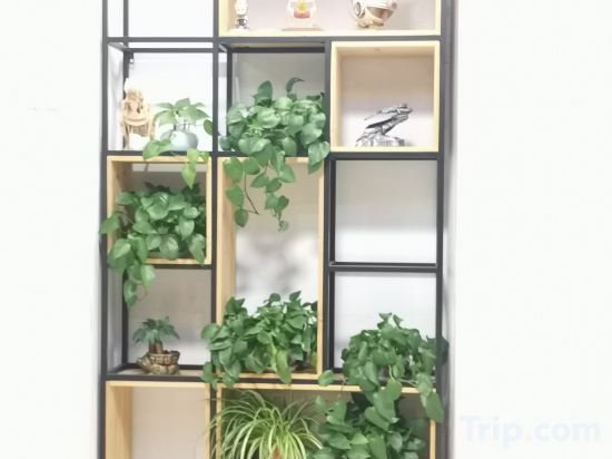 Фото Barbile E sports Hotel