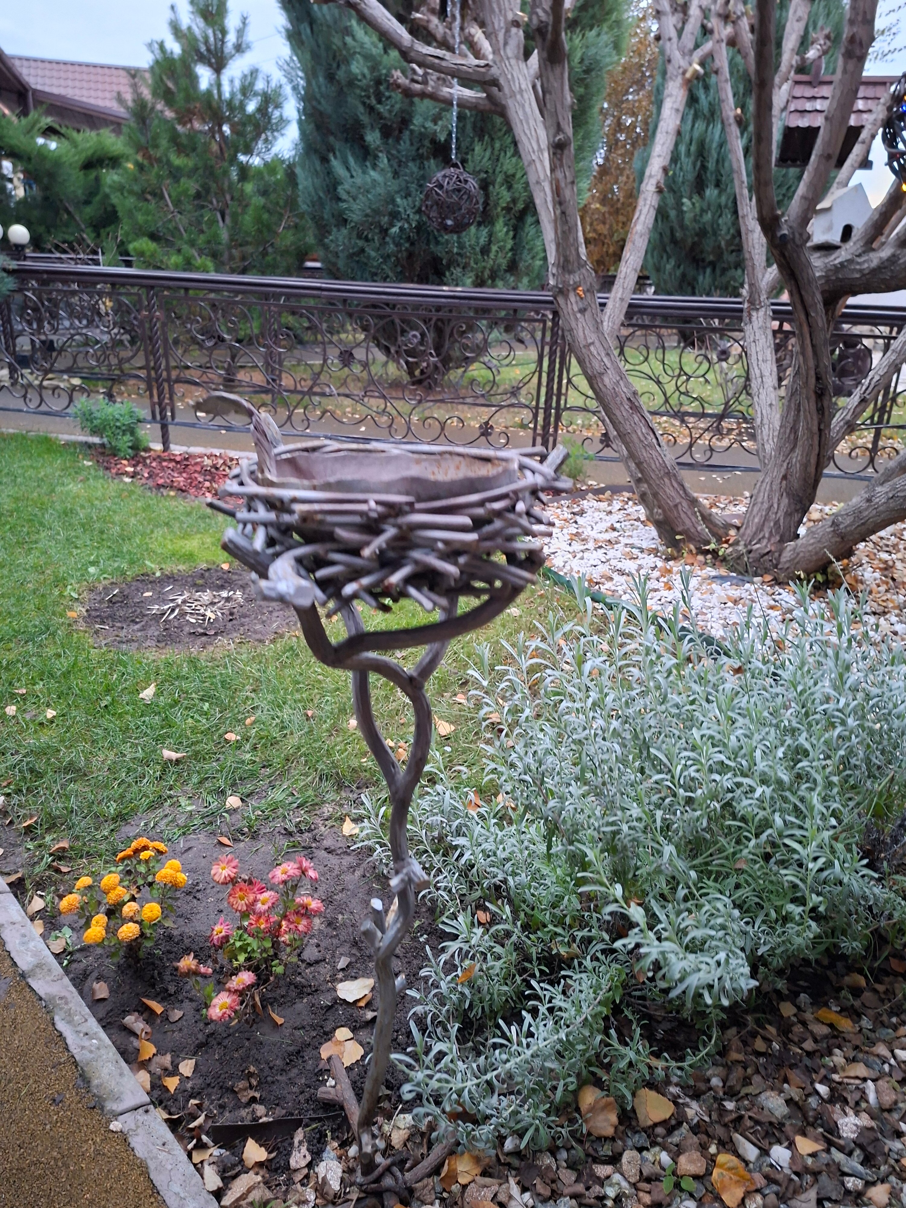 Фото Сказка