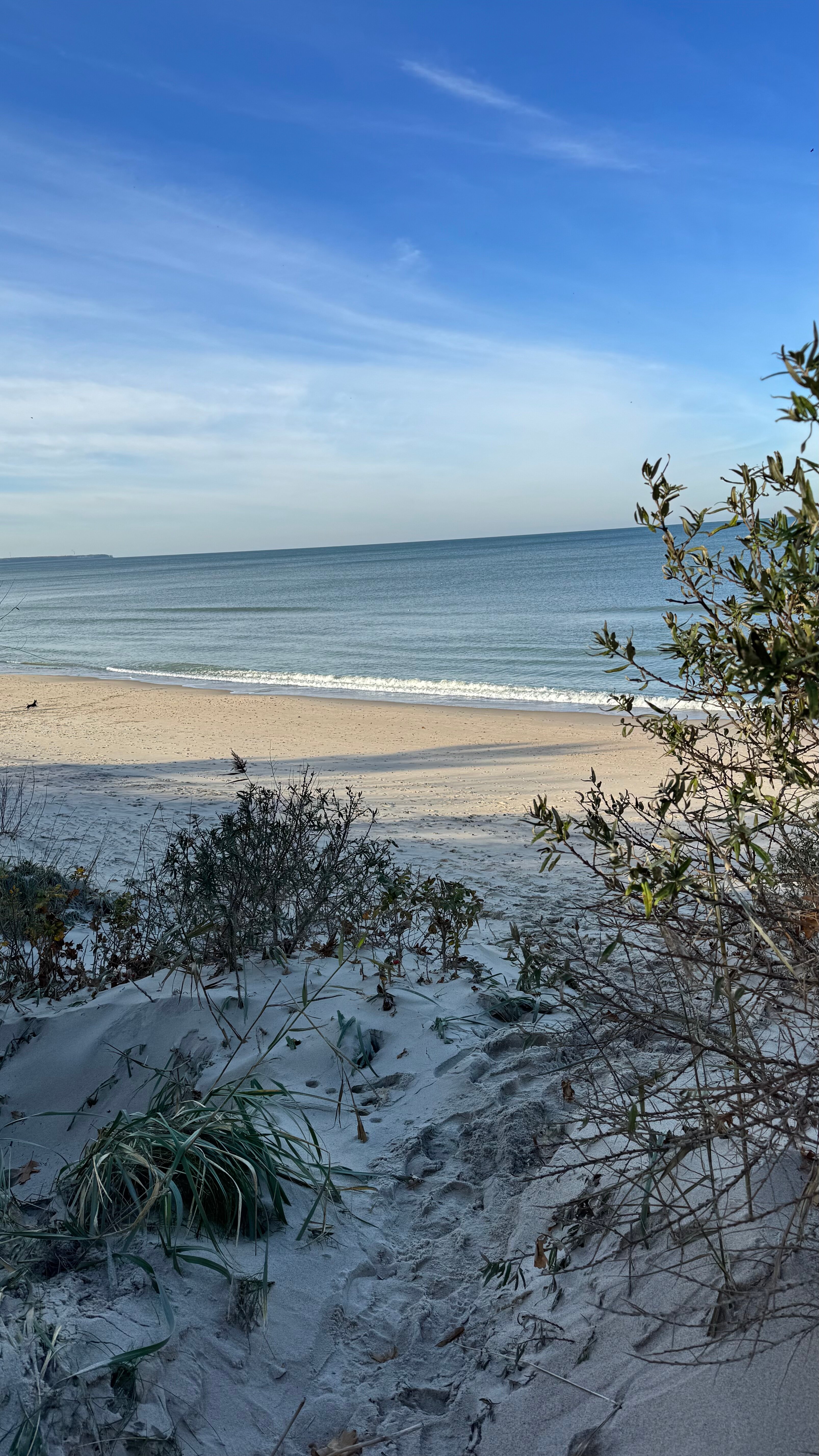 Фото Домик и Море