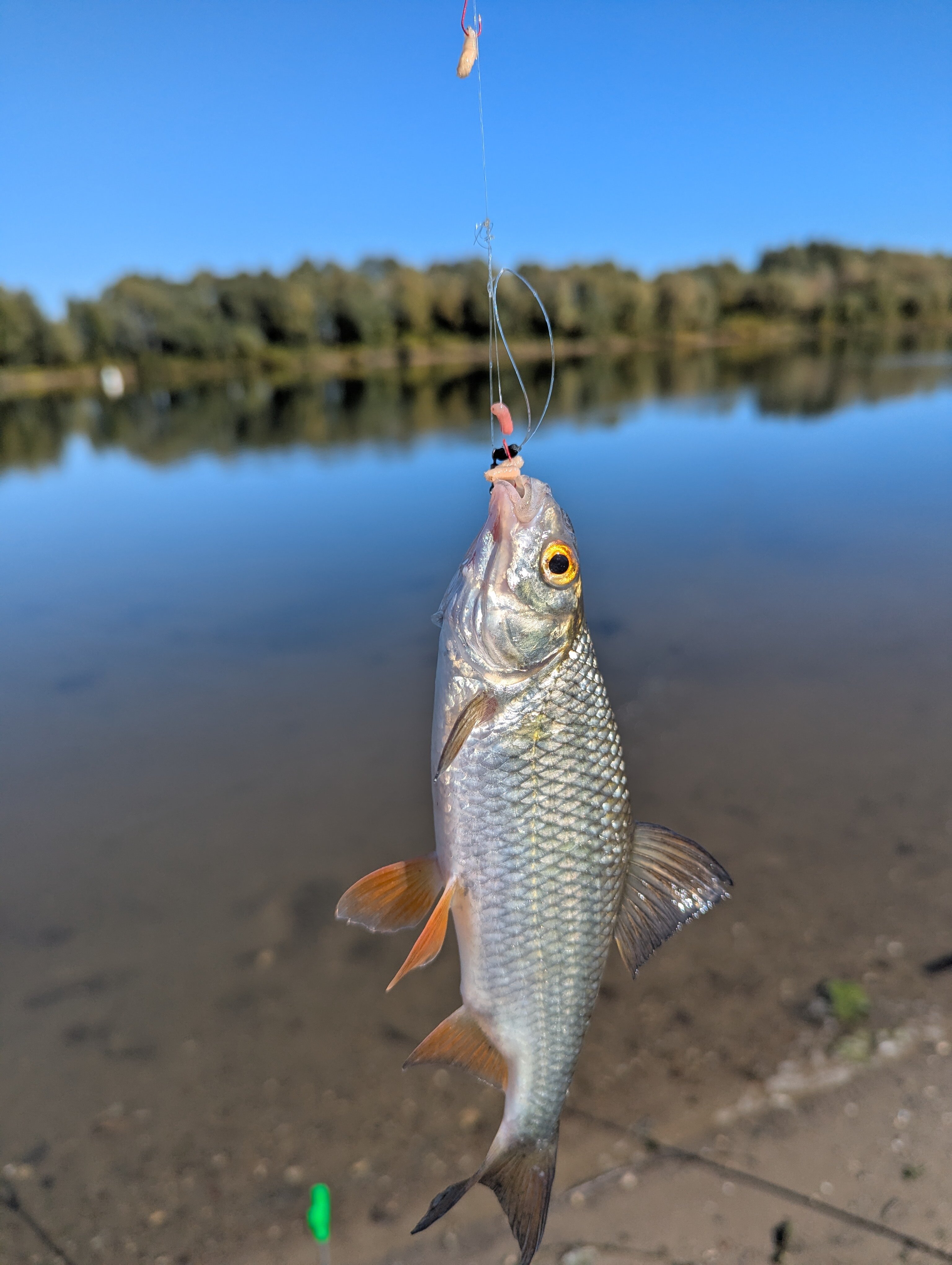 Фото Окский берег