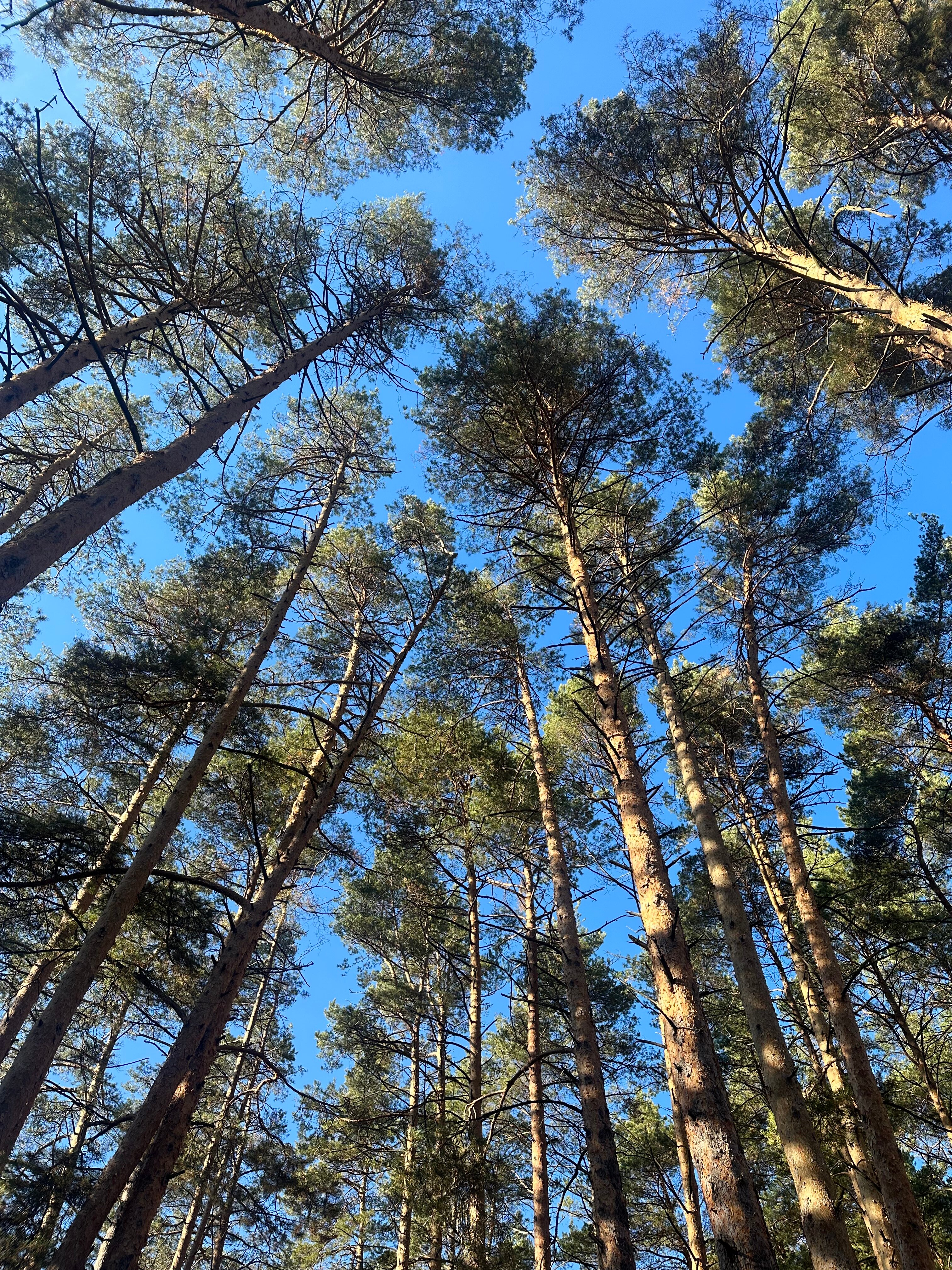 Фото Старый дворик