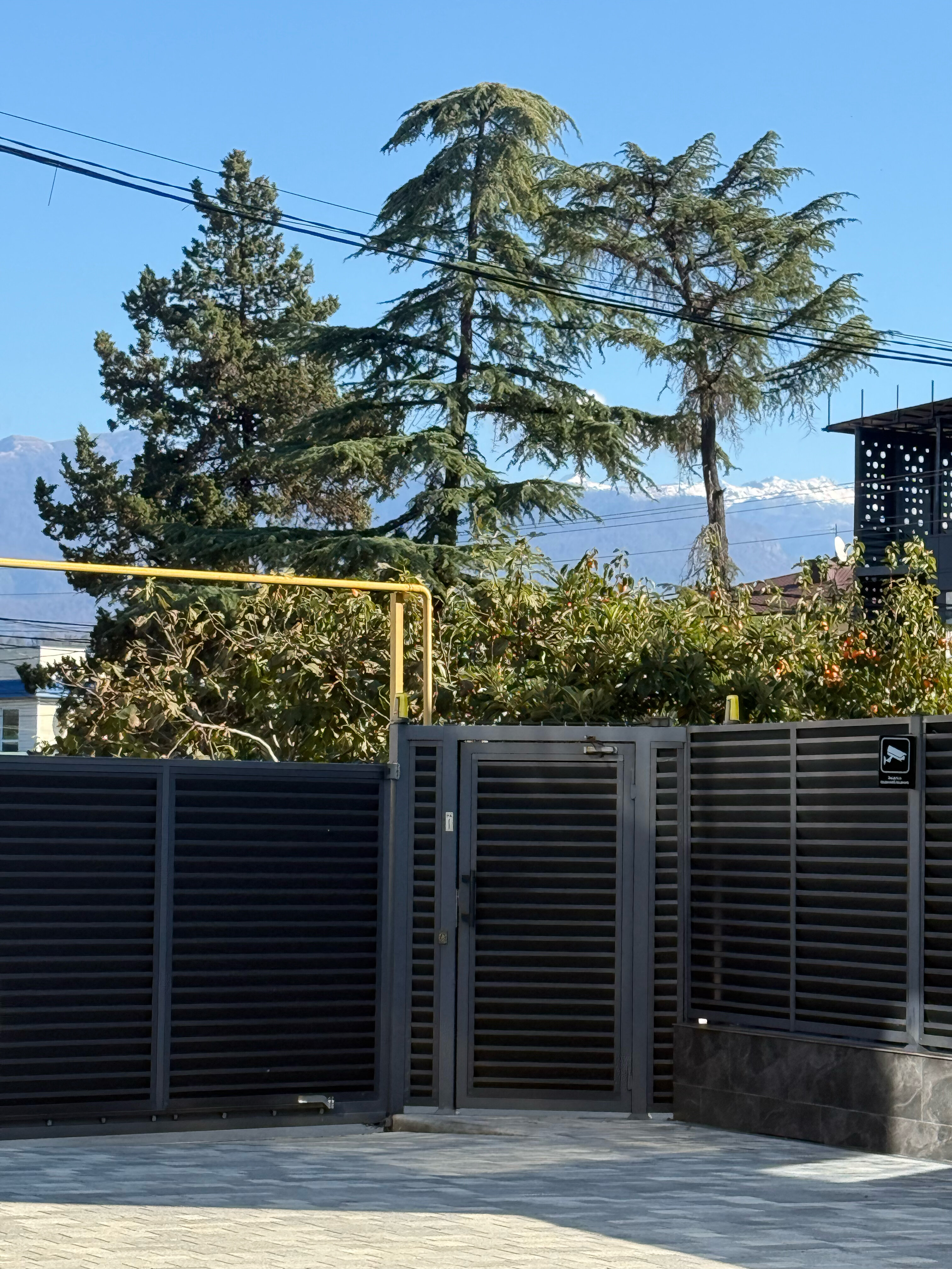 Фото Дачный квартал