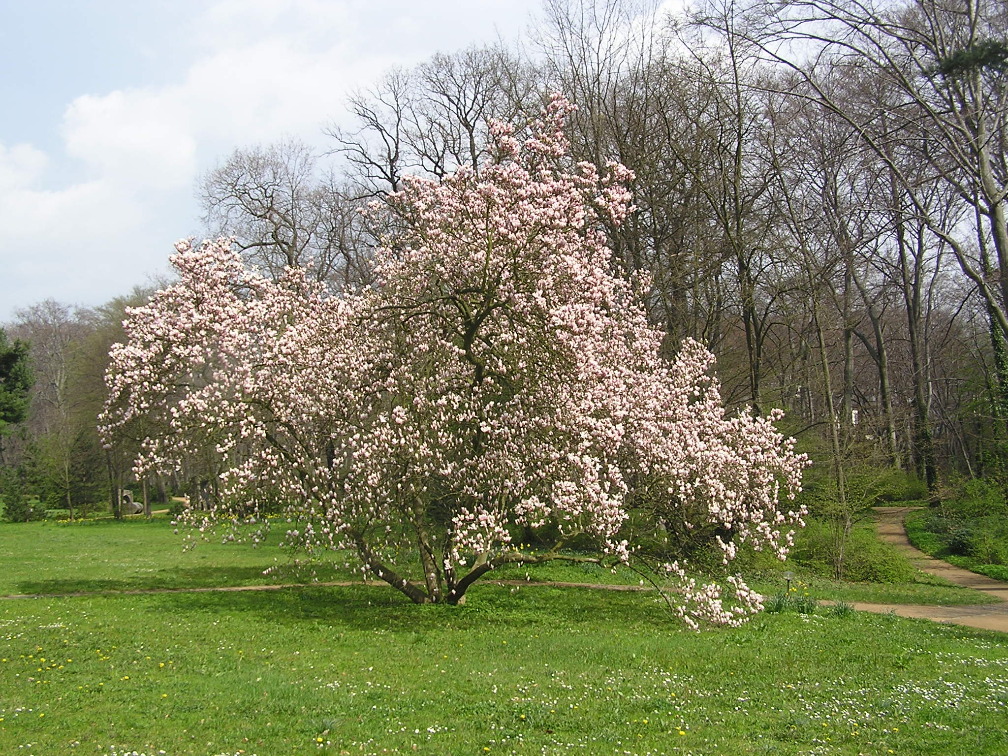 Фото Hotel Schloss Eckberg