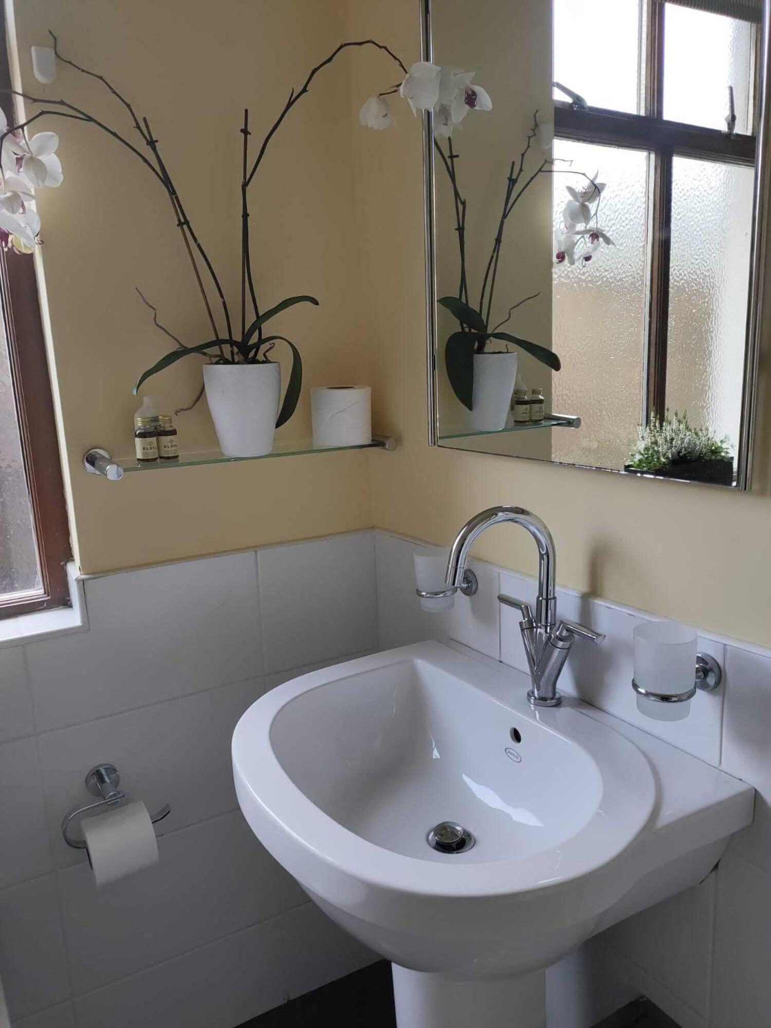 Фото The Oystercatcher