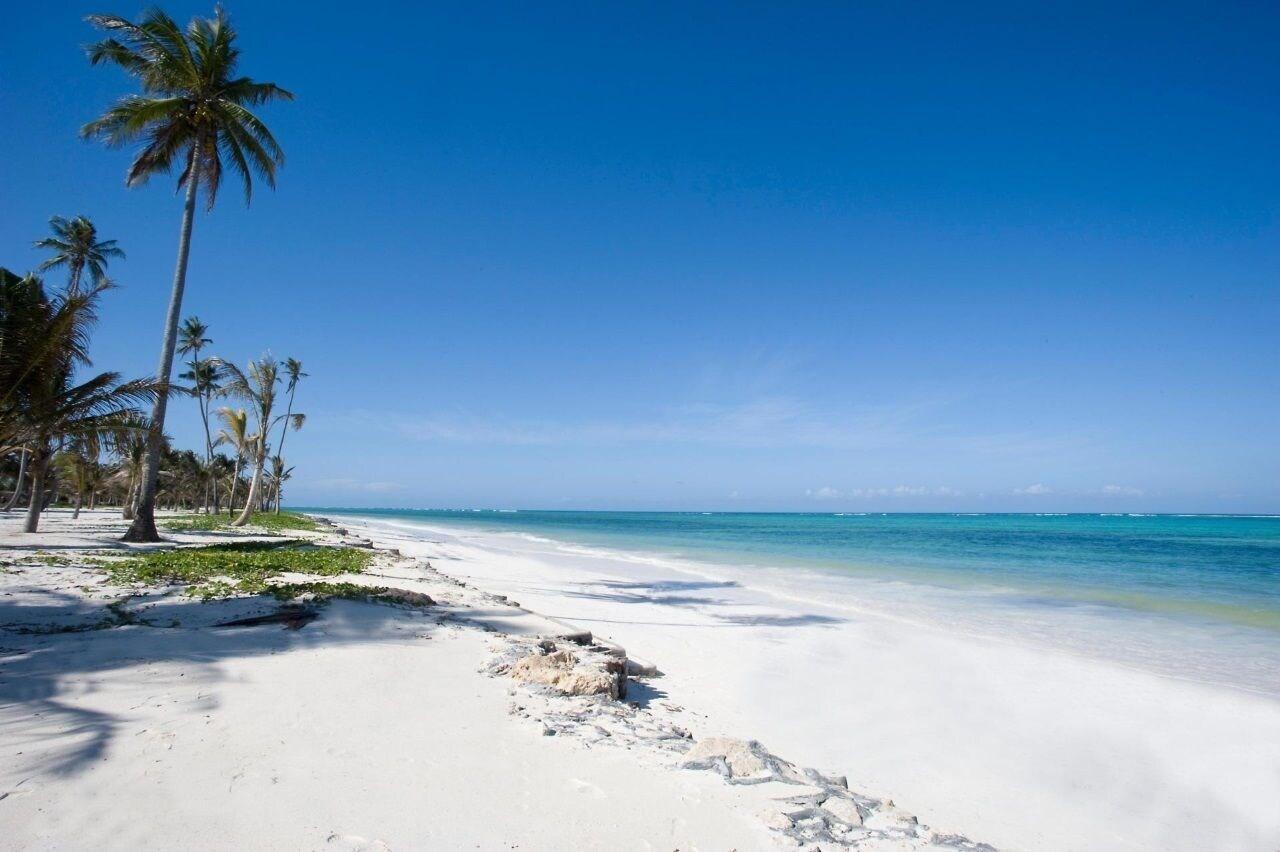 Фото Crim Wind Freedom