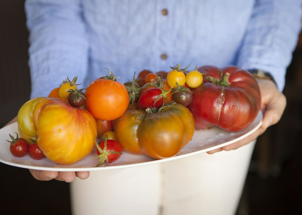 Фото El Dorado Hotel