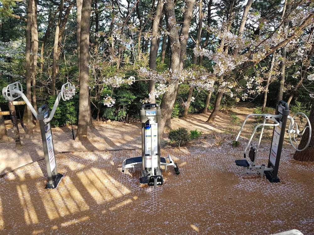 Фото Suntree Hotel