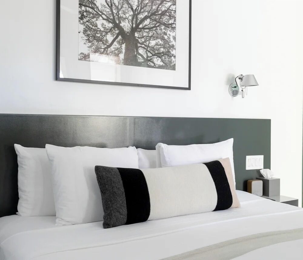 Фото Kimber Modern