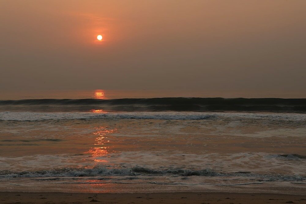 Фото Vestin Park