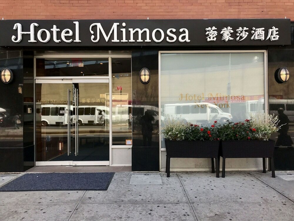 Фото Hotel Mimosa
