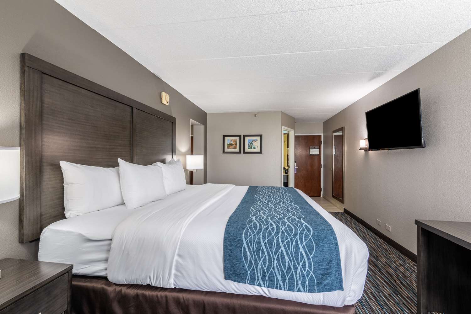 Фото Comfort Inn Chicago Schaumburg - O'Hare Airport