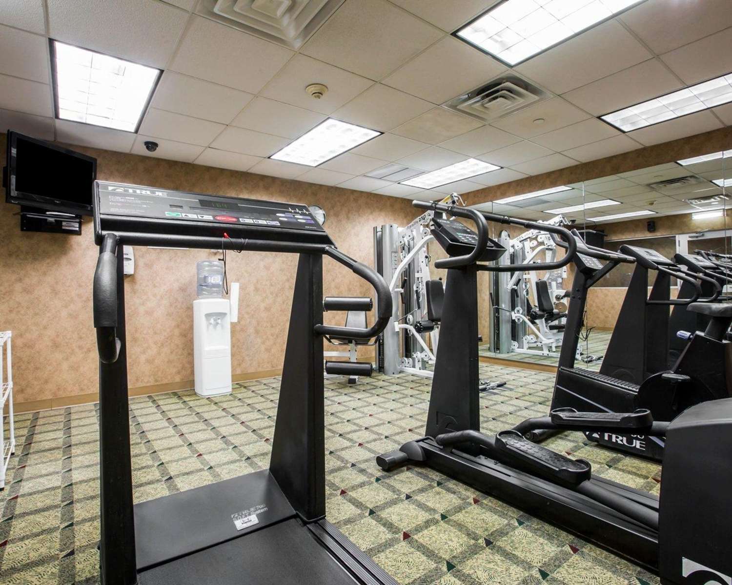 Фото Comfort Inn & Suites