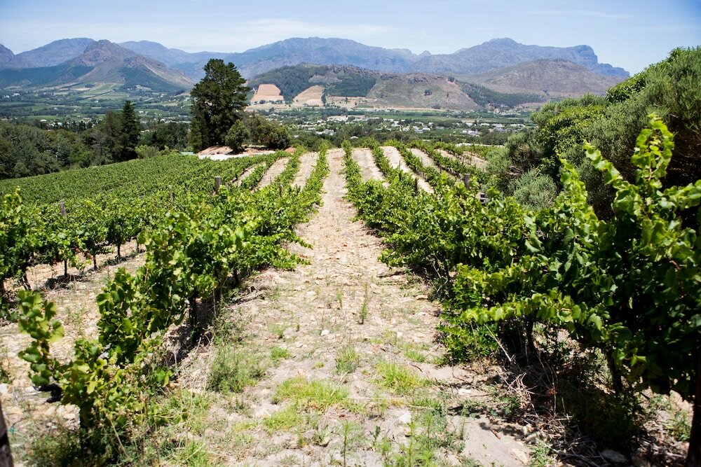 Фото Maison Montagne