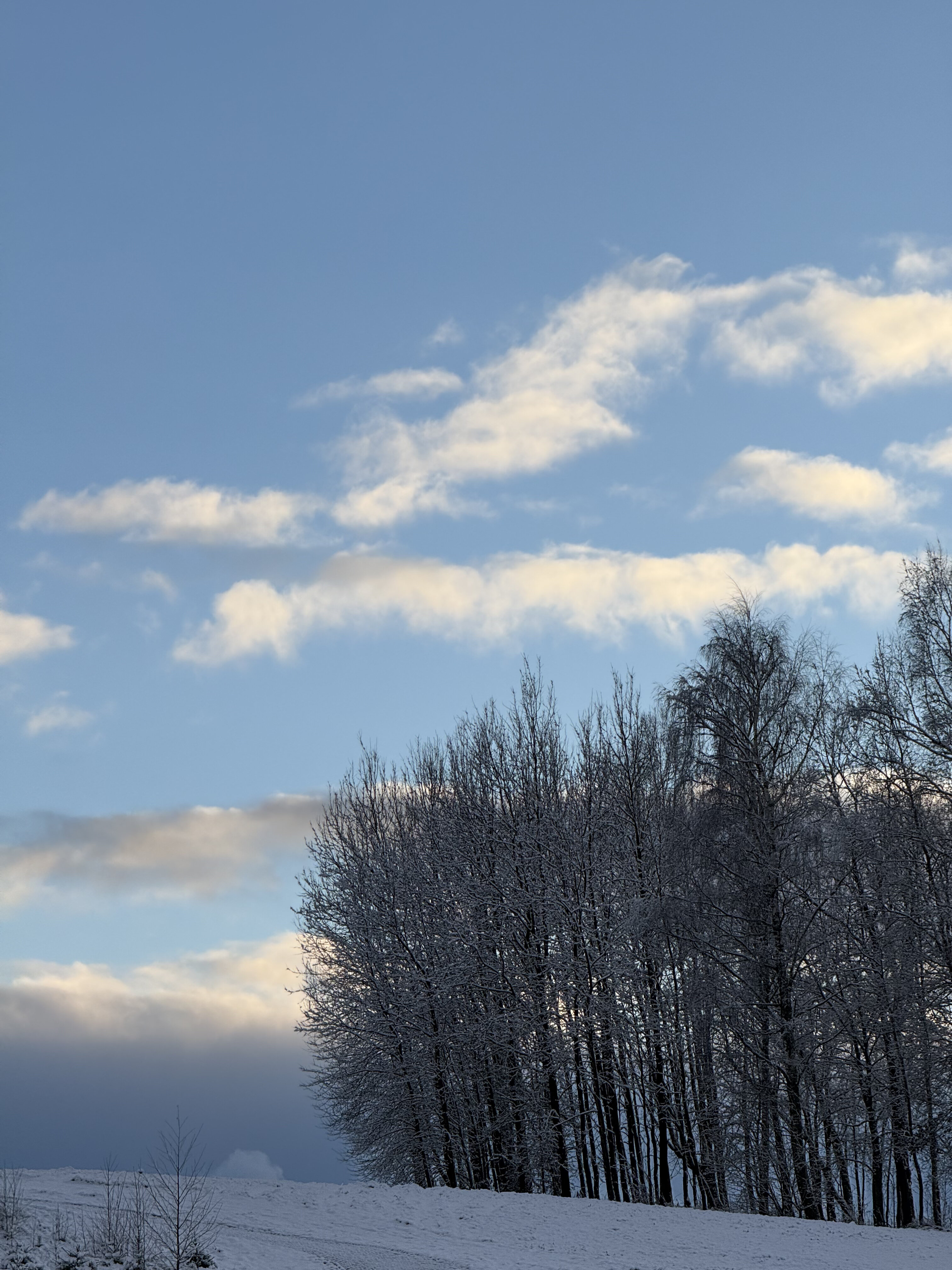 Фото Форест Хиллс