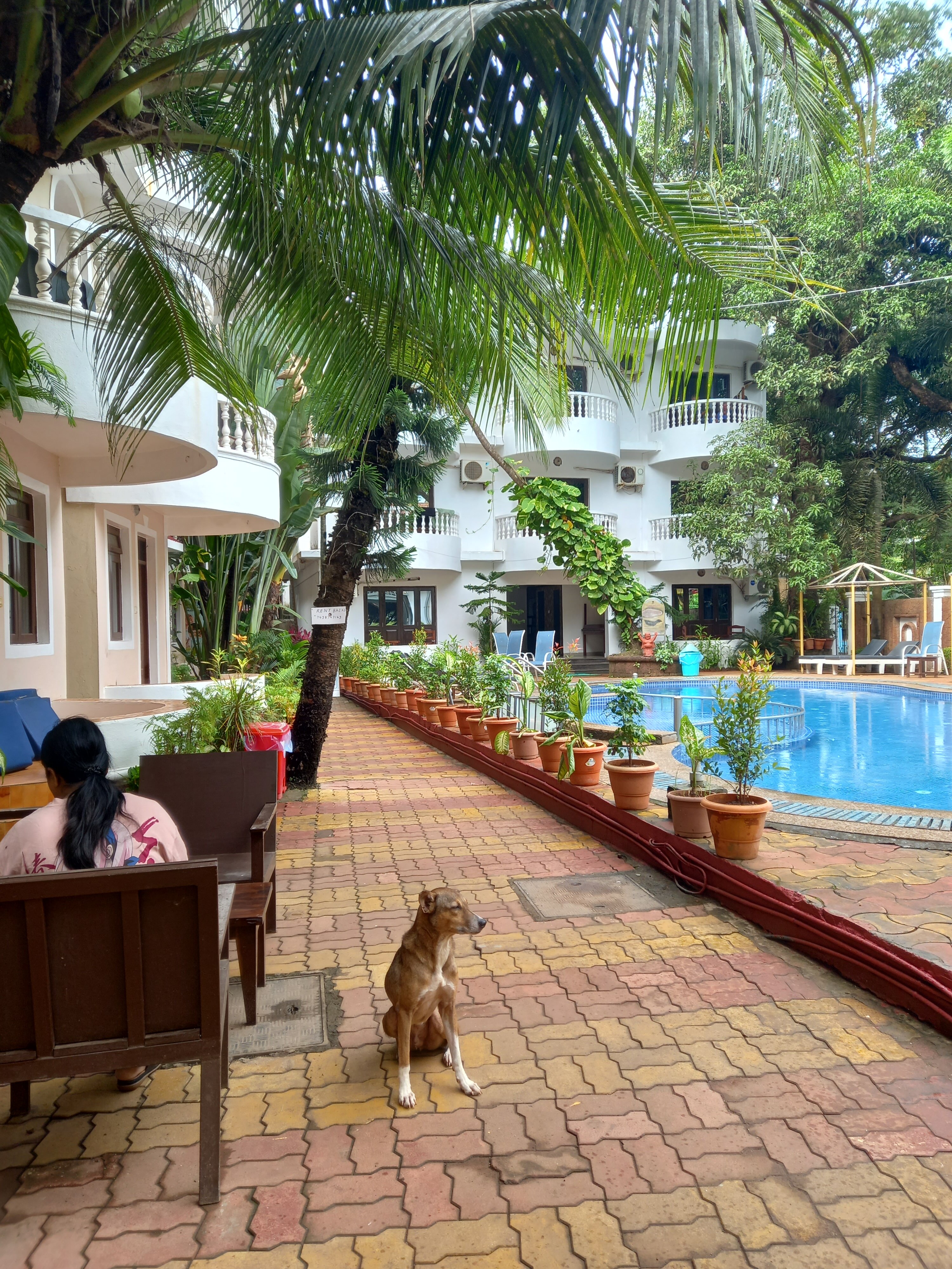 Фото Naga Cottages