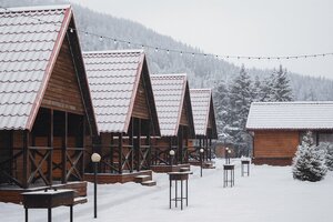 Кедровый берег
