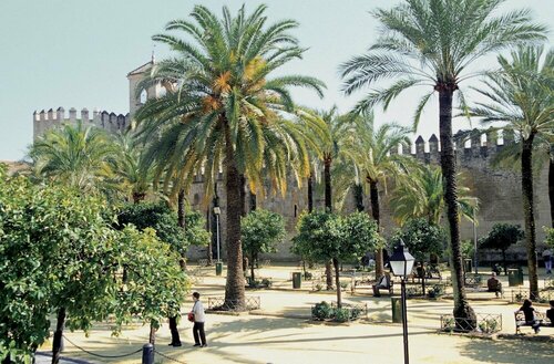 Внешний вид отеля Nh Córdoba Califa Hotel в Кордове, фото 4