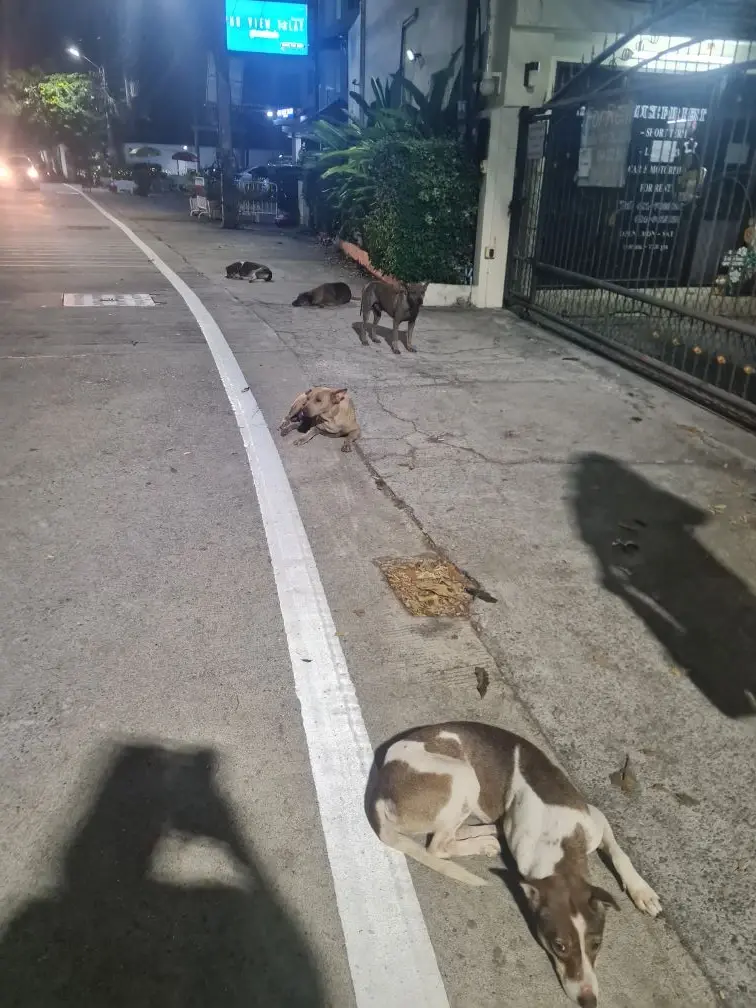 Фото Phu View Talay Resort