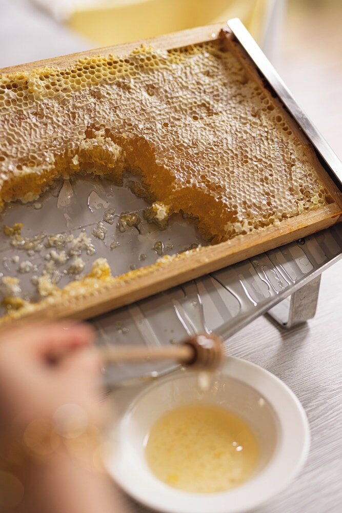 Фото Hotel Cezanne