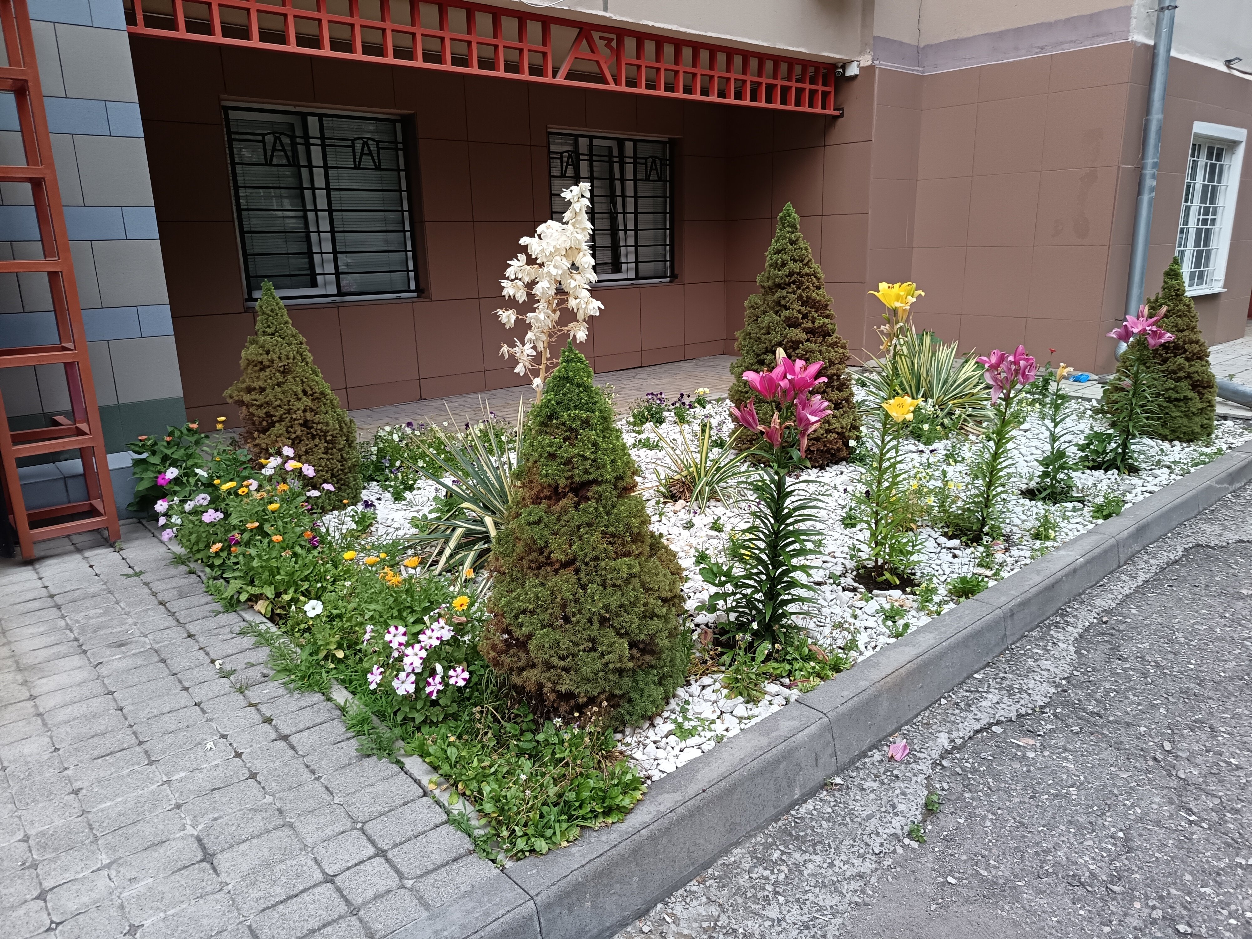 Фото отеля 3