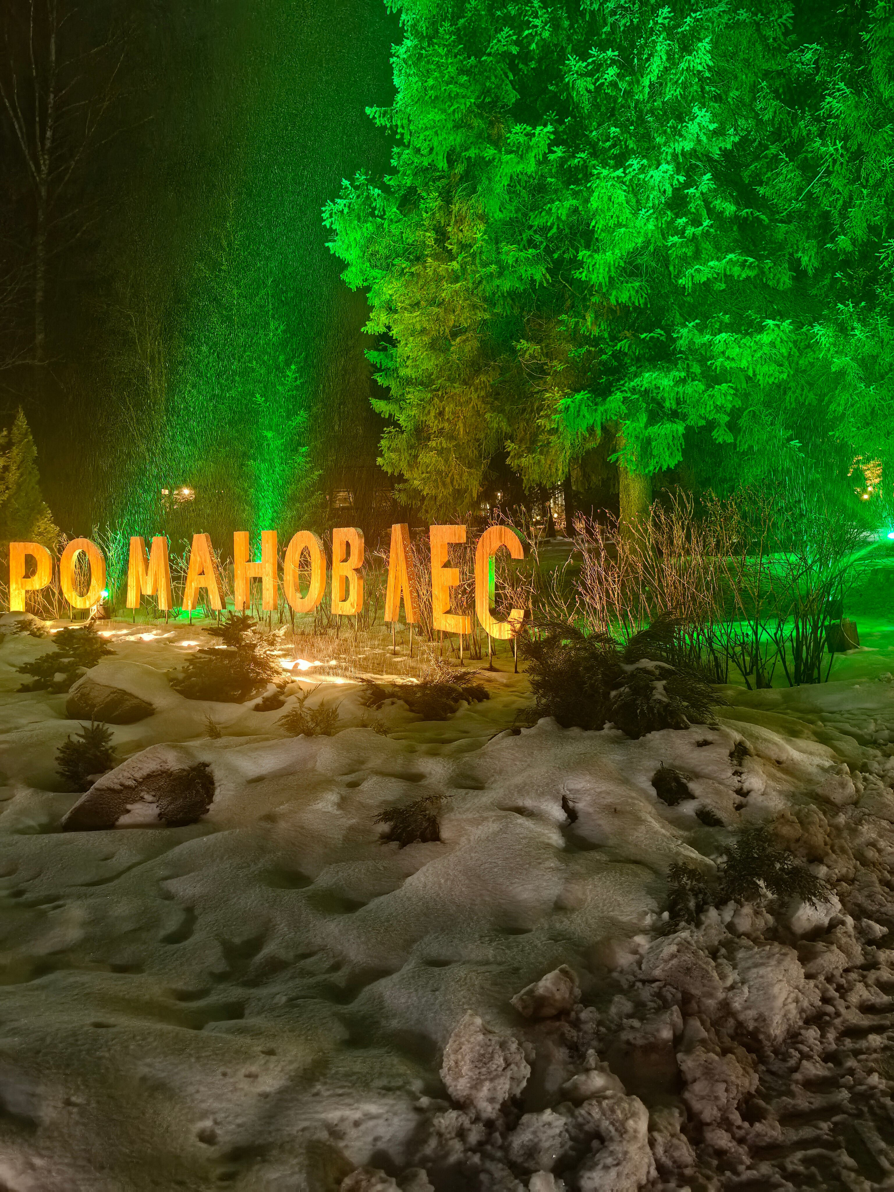 Фото Романов лес