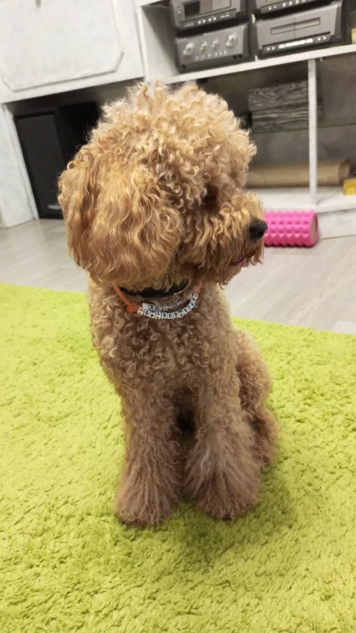 Фото Добродом