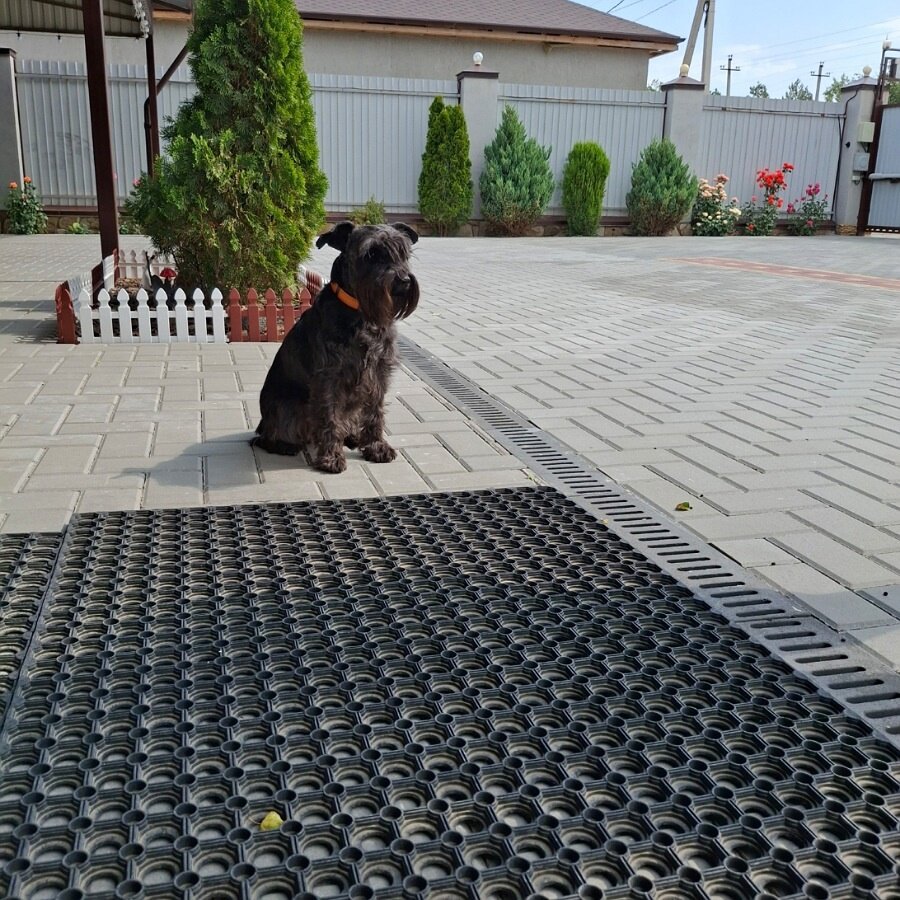 Фото Бумеранг