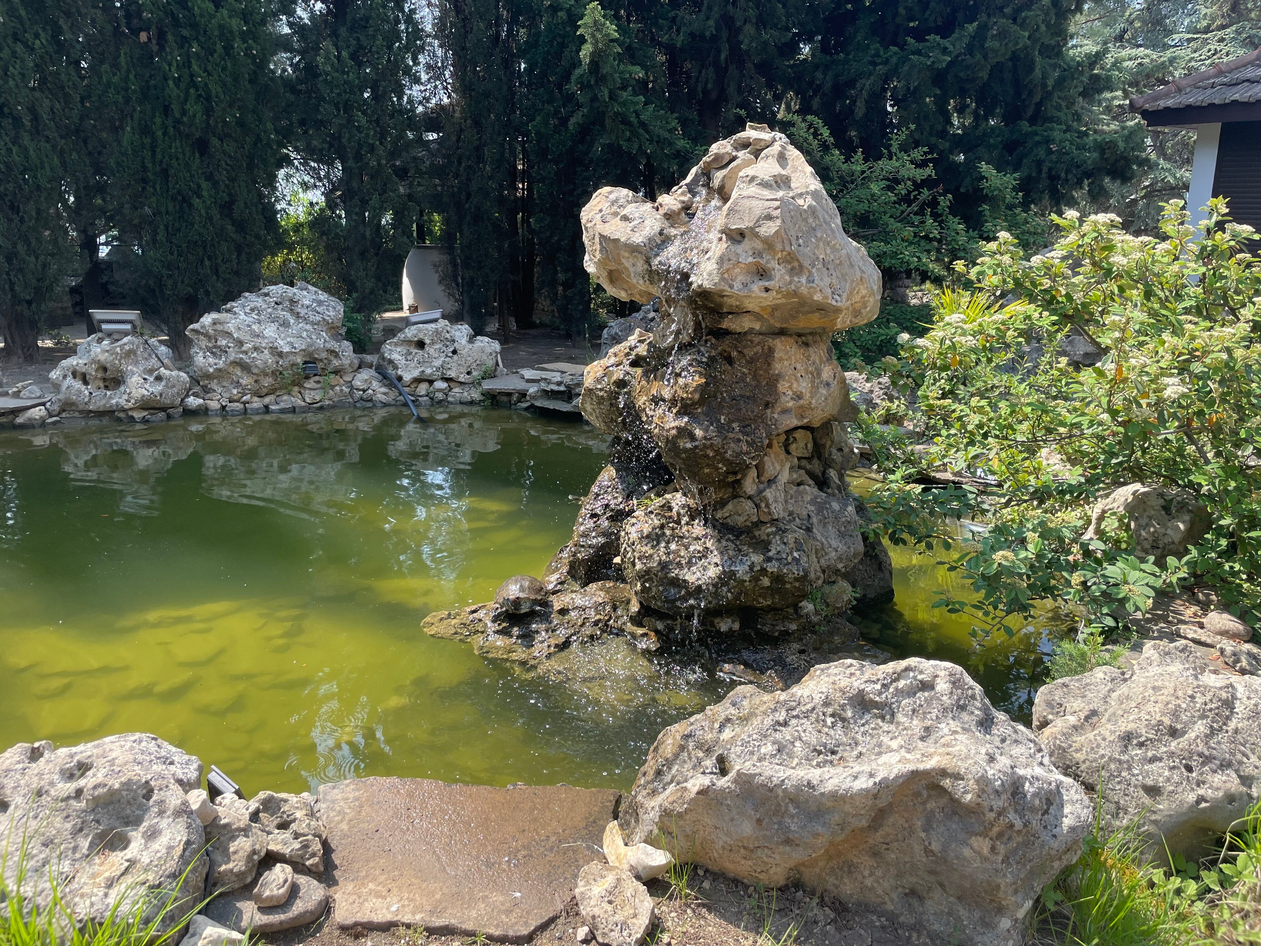 Фото Аквани