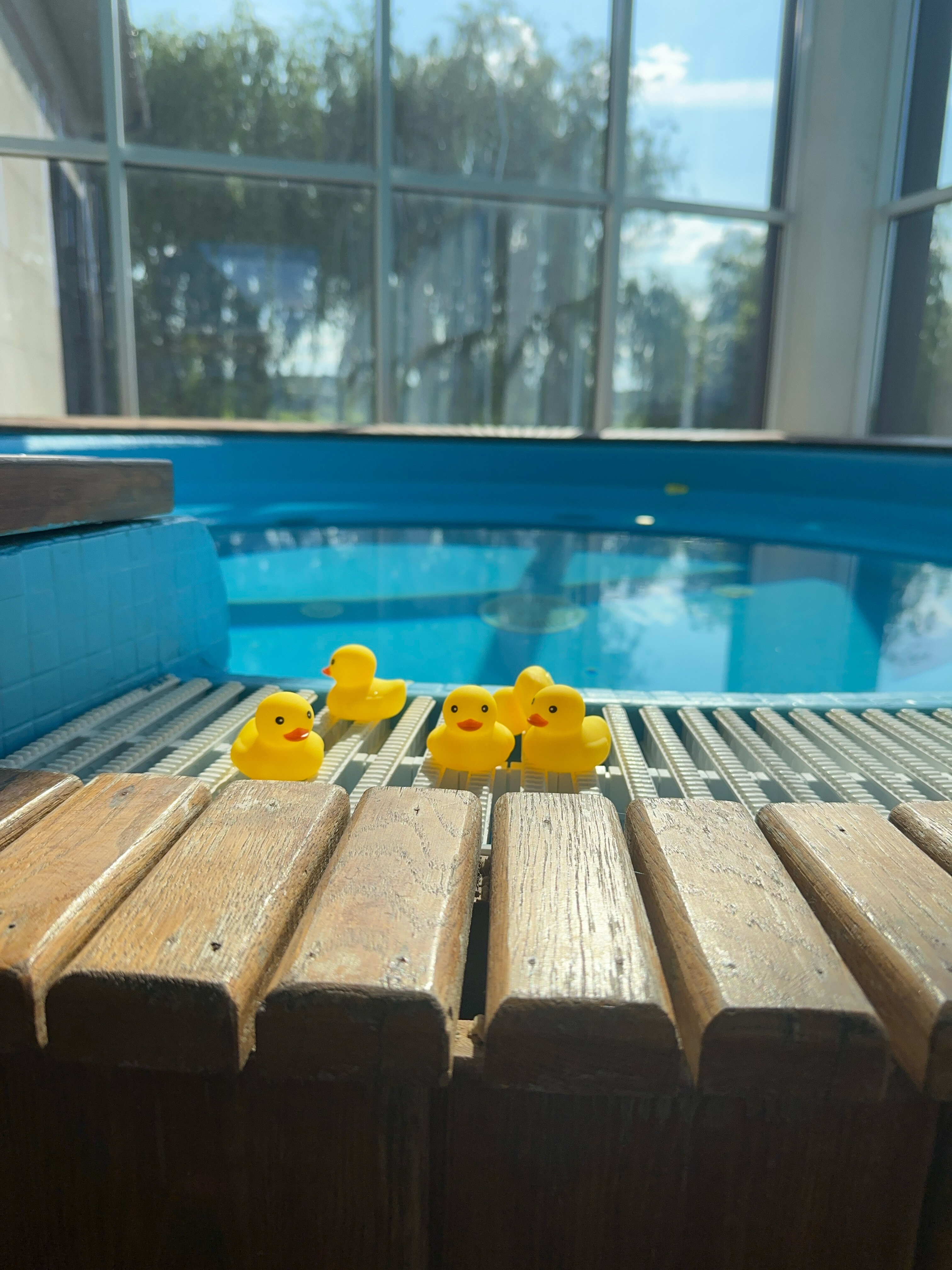 Фото СПА Провинция